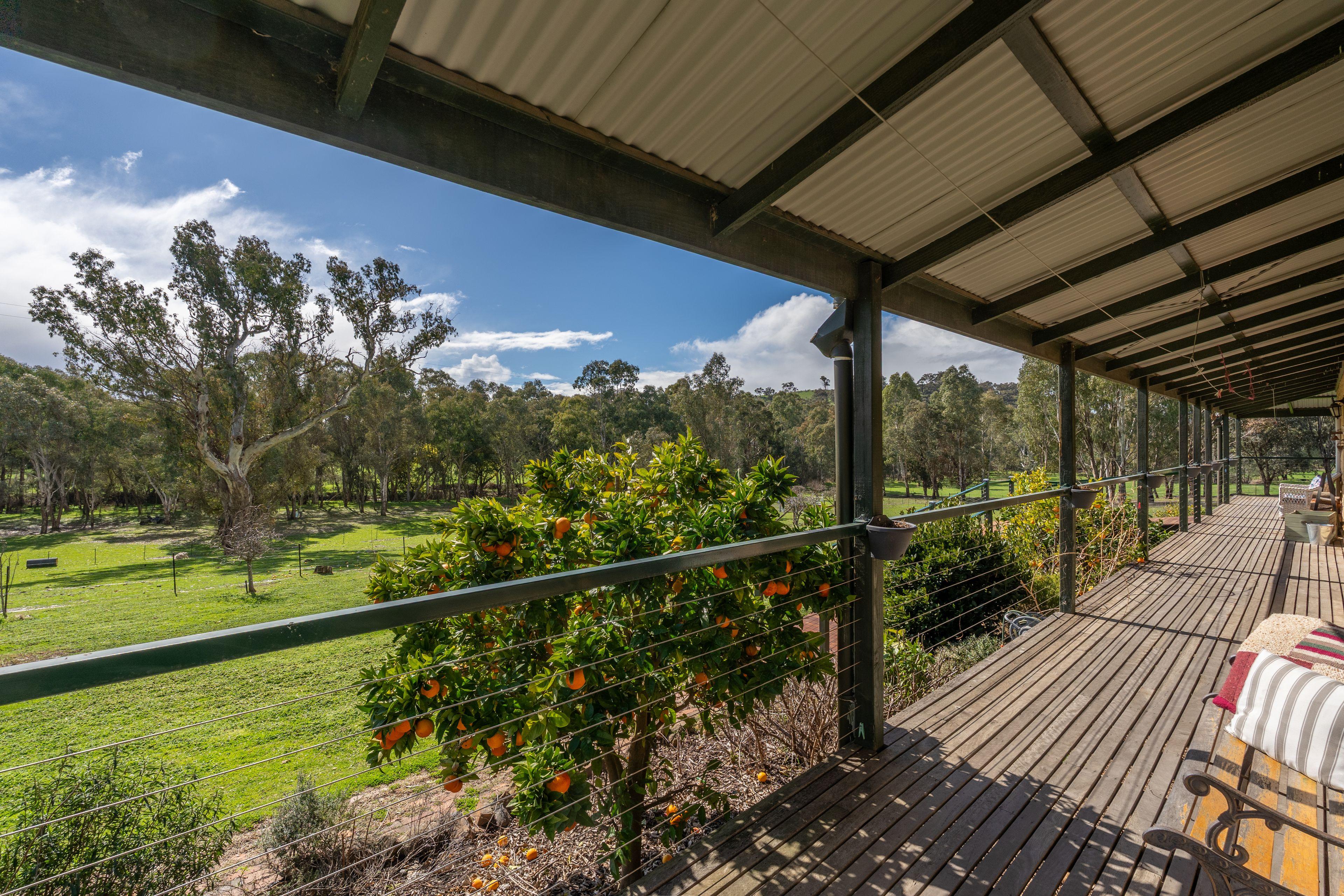 Lifestyle for Sale: Tallarook, VIC 3659, VIC, 3659