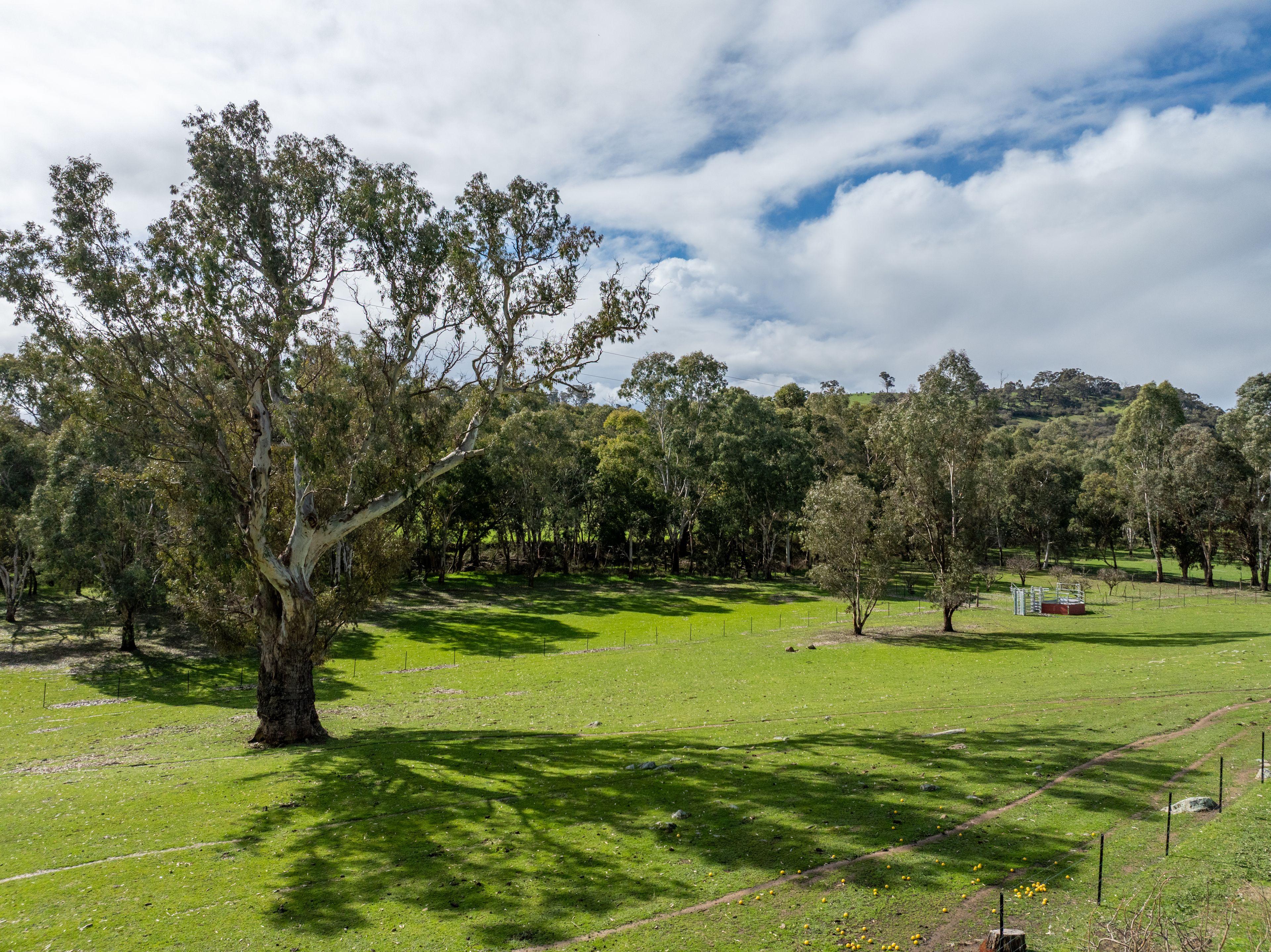 Lifestyle for Sale: Tallarook, VIC 3659, VIC, 3659