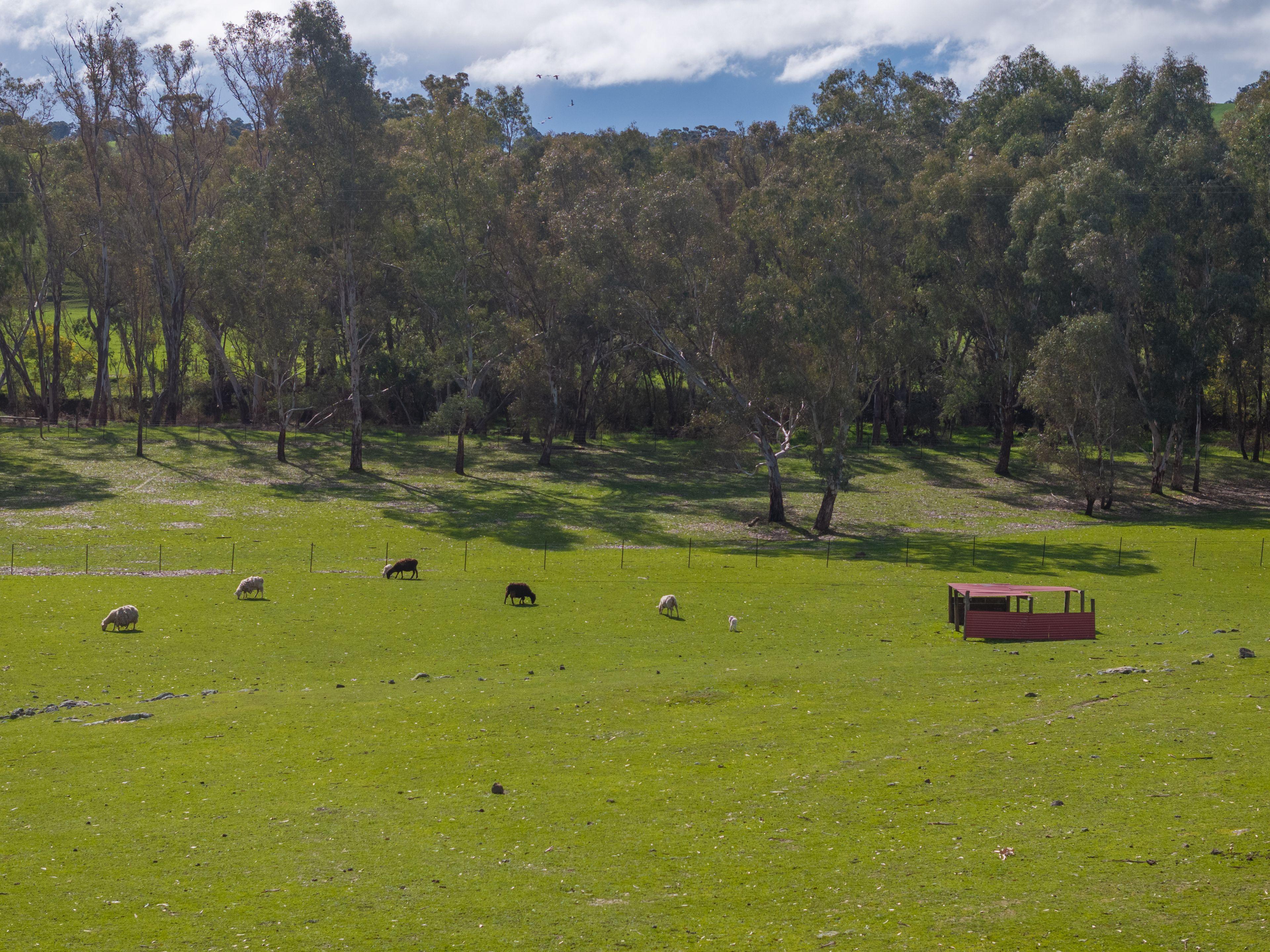 Lifestyle for Sale: Tallarook, VIC 3659, VIC, 3659