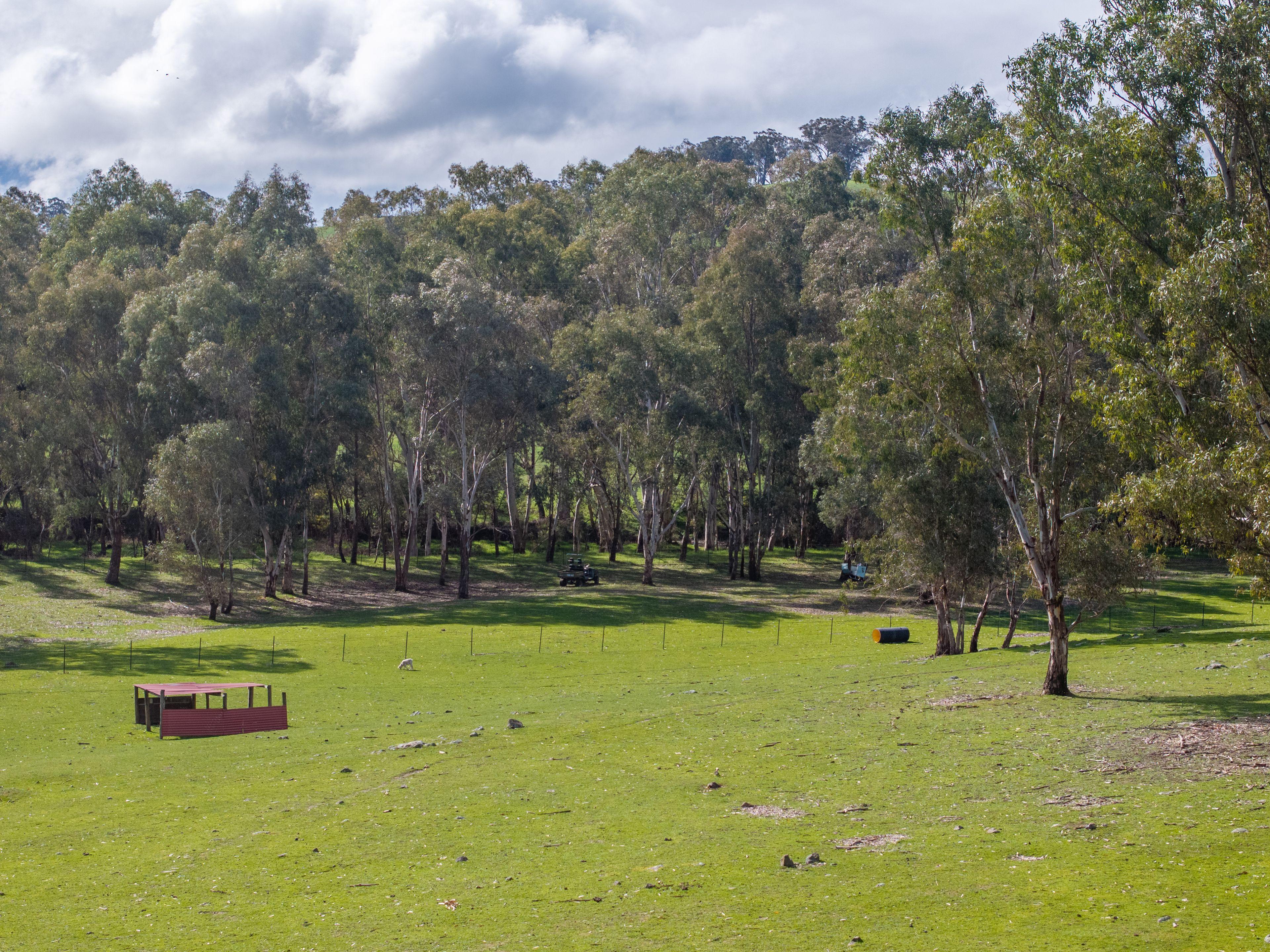 Lifestyle for Sale: Tallarook, VIC 3659, VIC, 3659