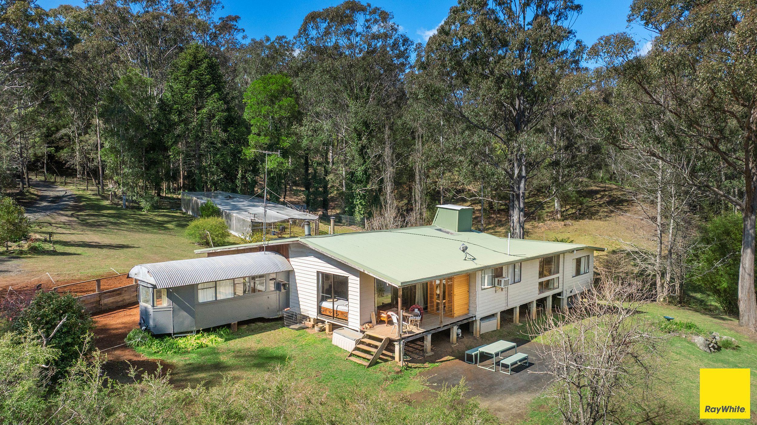 Lifestyle for Sale: North Dorrigo, NSW 2453, NSW, 2453