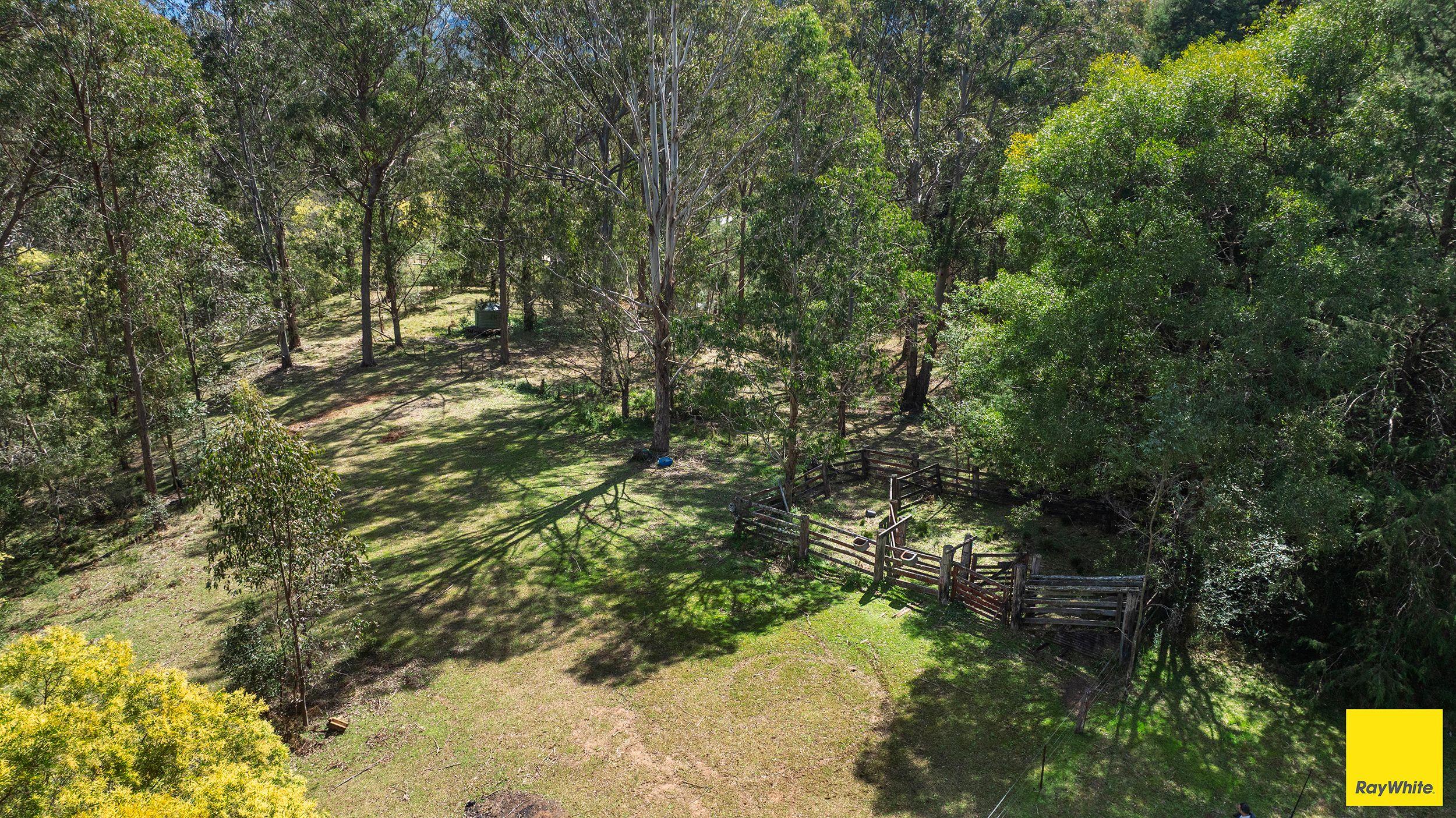 Lifestyle for Sale: North Dorrigo, NSW 2453, NSW, 2453