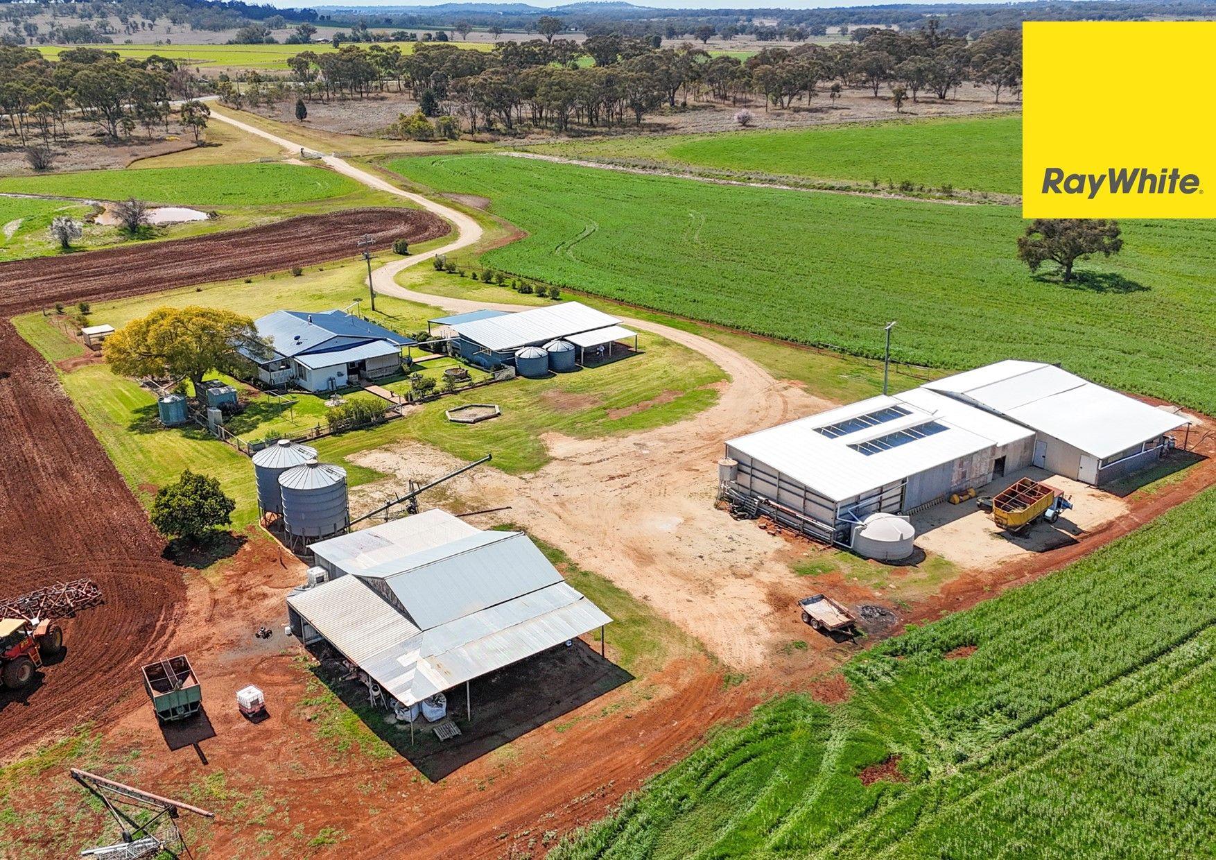 Prop-GPT: Cropping: NSW Inverell, NSW 2360 Rural
