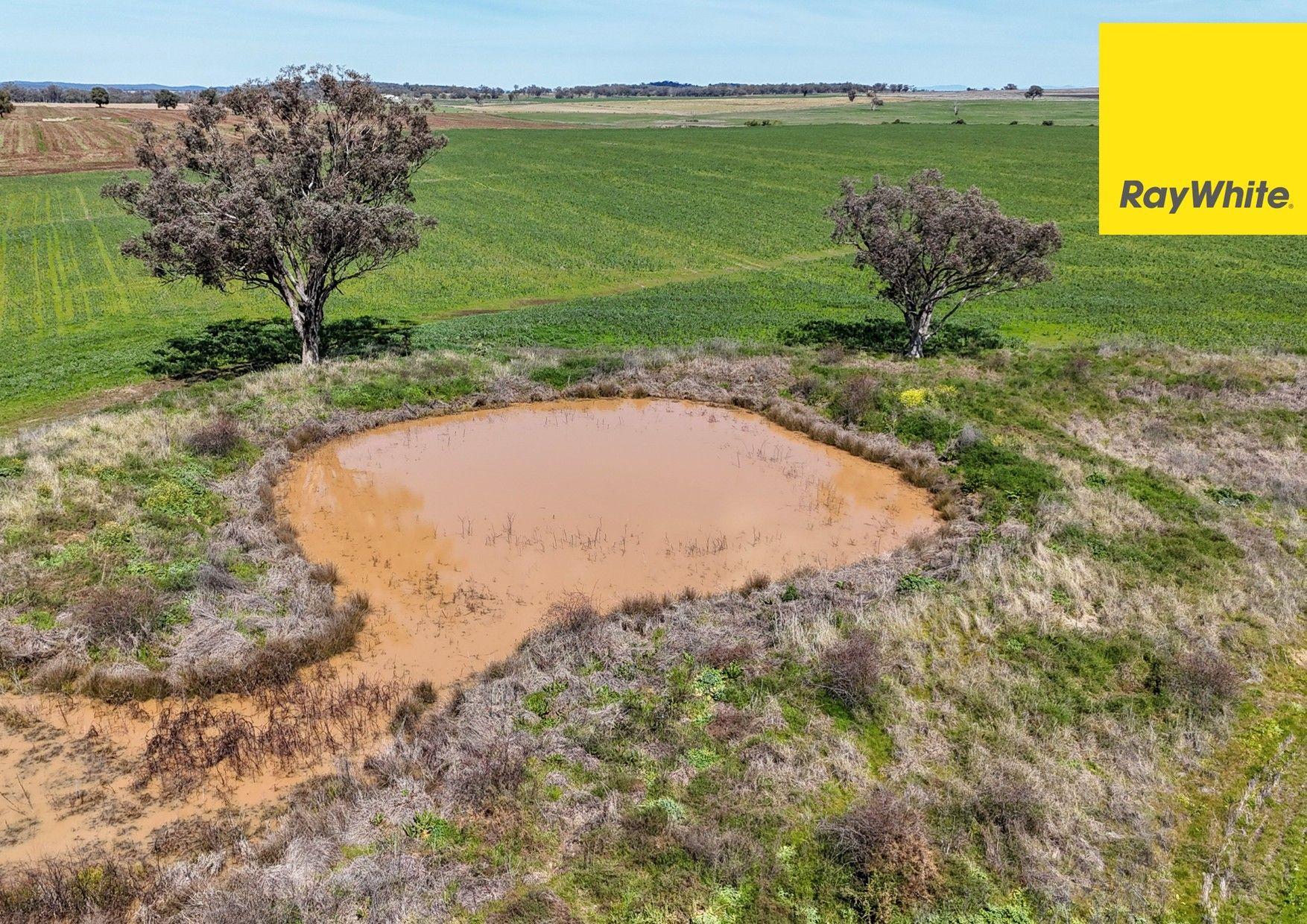 Cropping for Sale: Inverell, NSW 2360, NSW, 2360