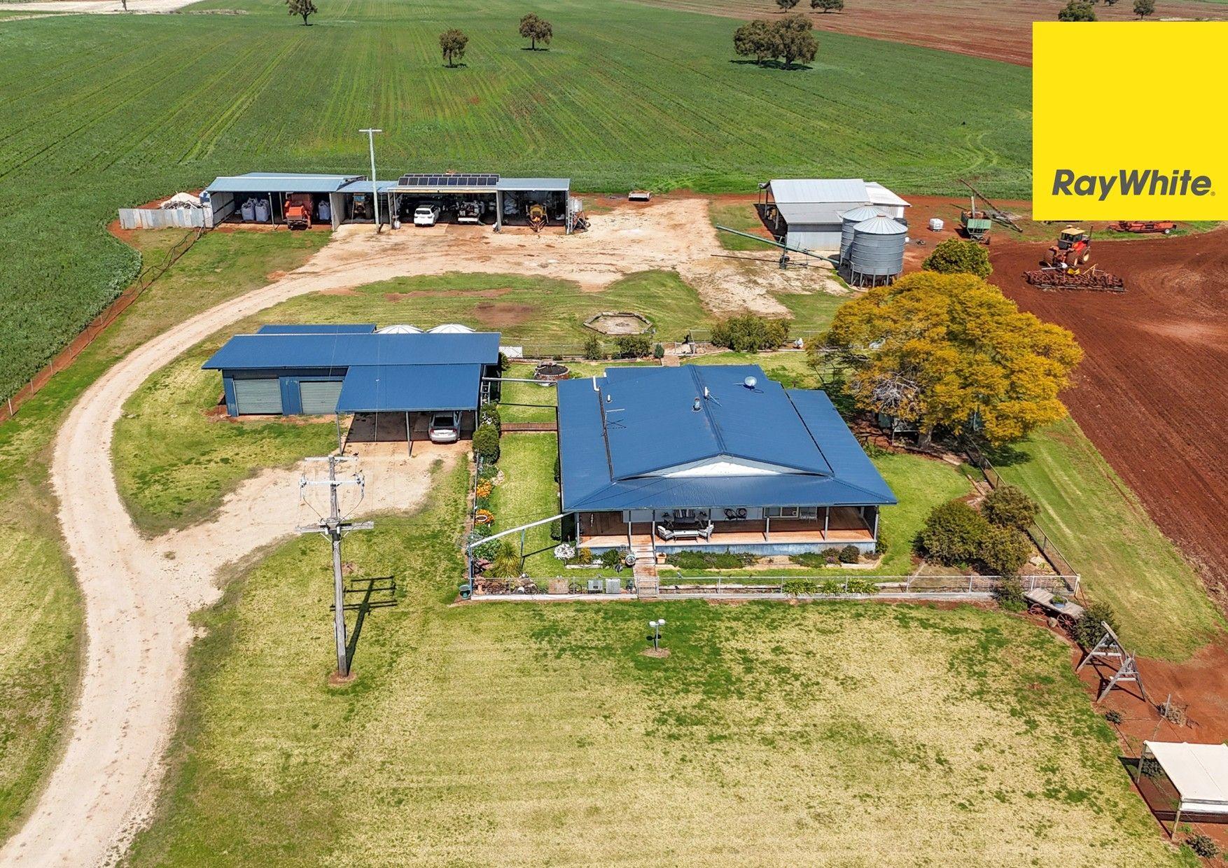 Cropping for Sale: Inverell, NSW 2360, NSW, 2360