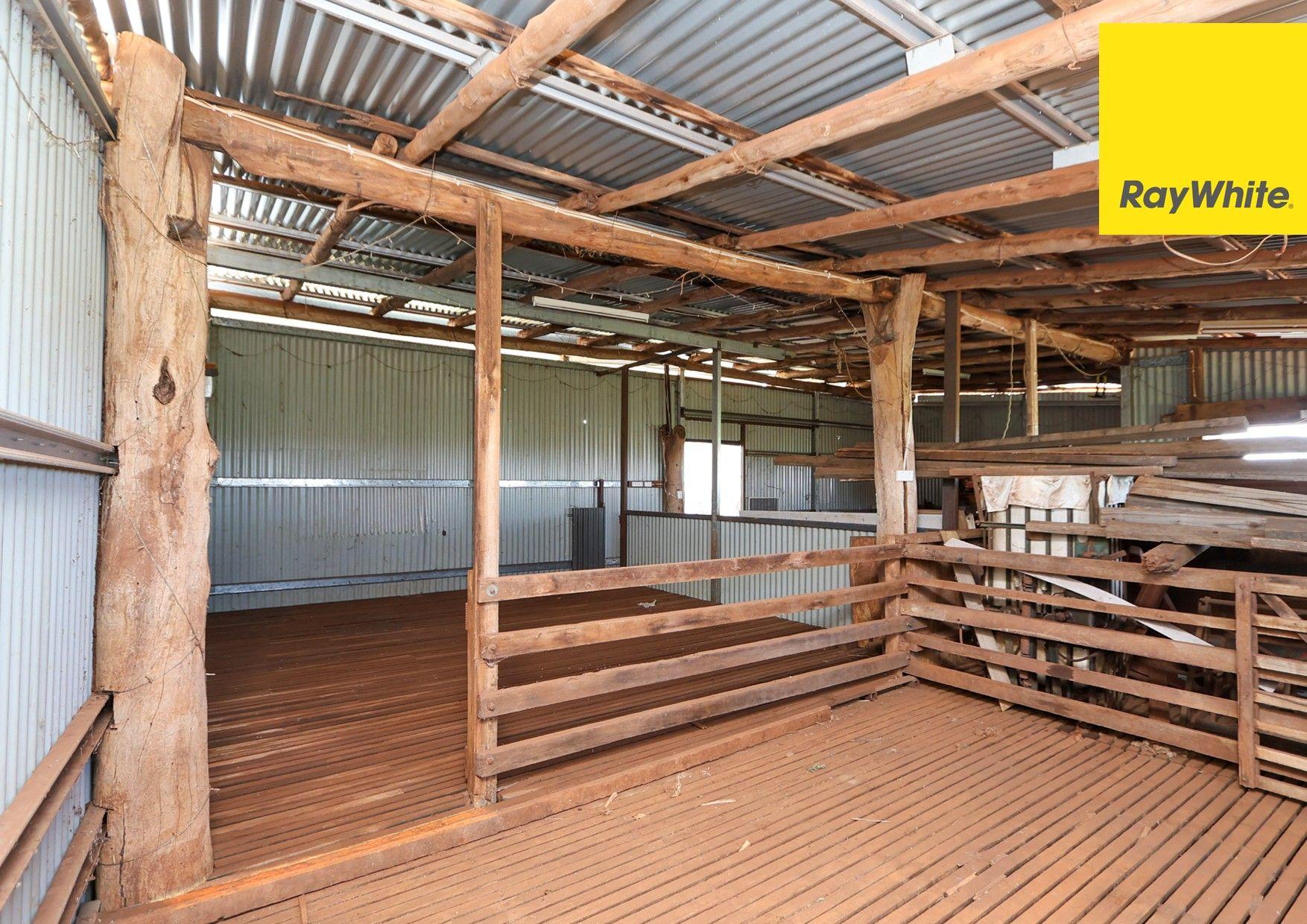 Cropping for Sale: Inverell, NSW 2360, NSW, 2360