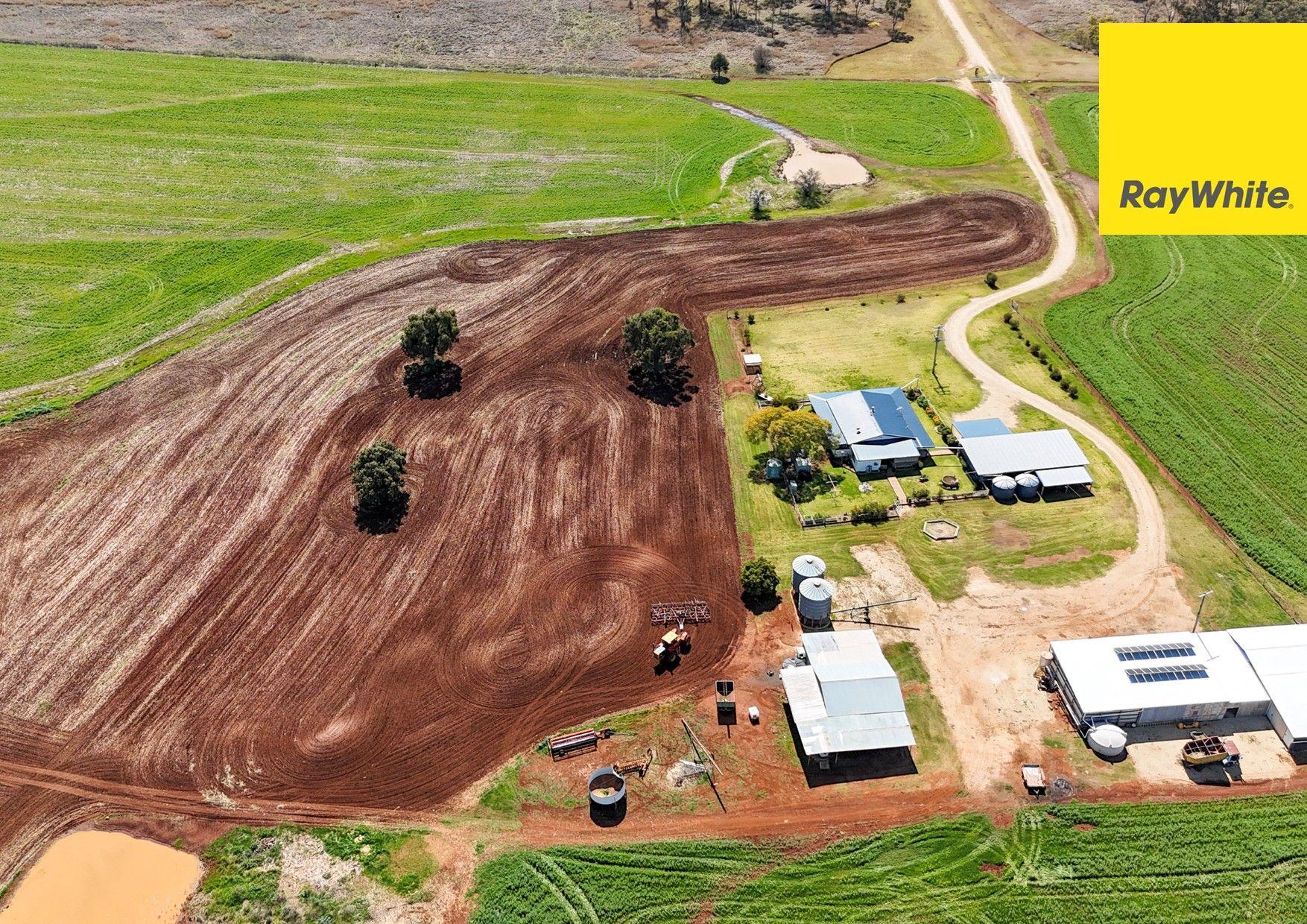 Cropping for Sale: Inverell, NSW 2360, NSW, 2360