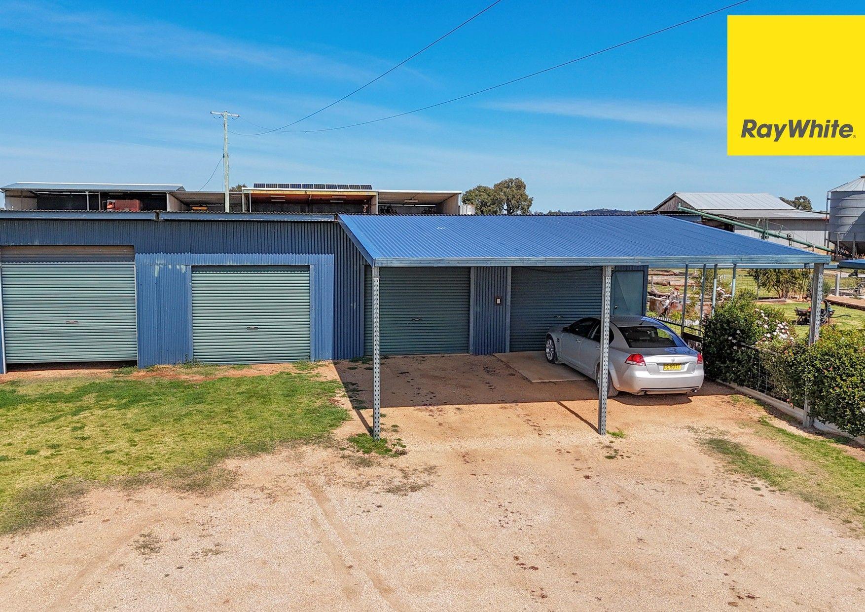 Cropping for Sale: Inverell, NSW 2360, NSW, 2360
