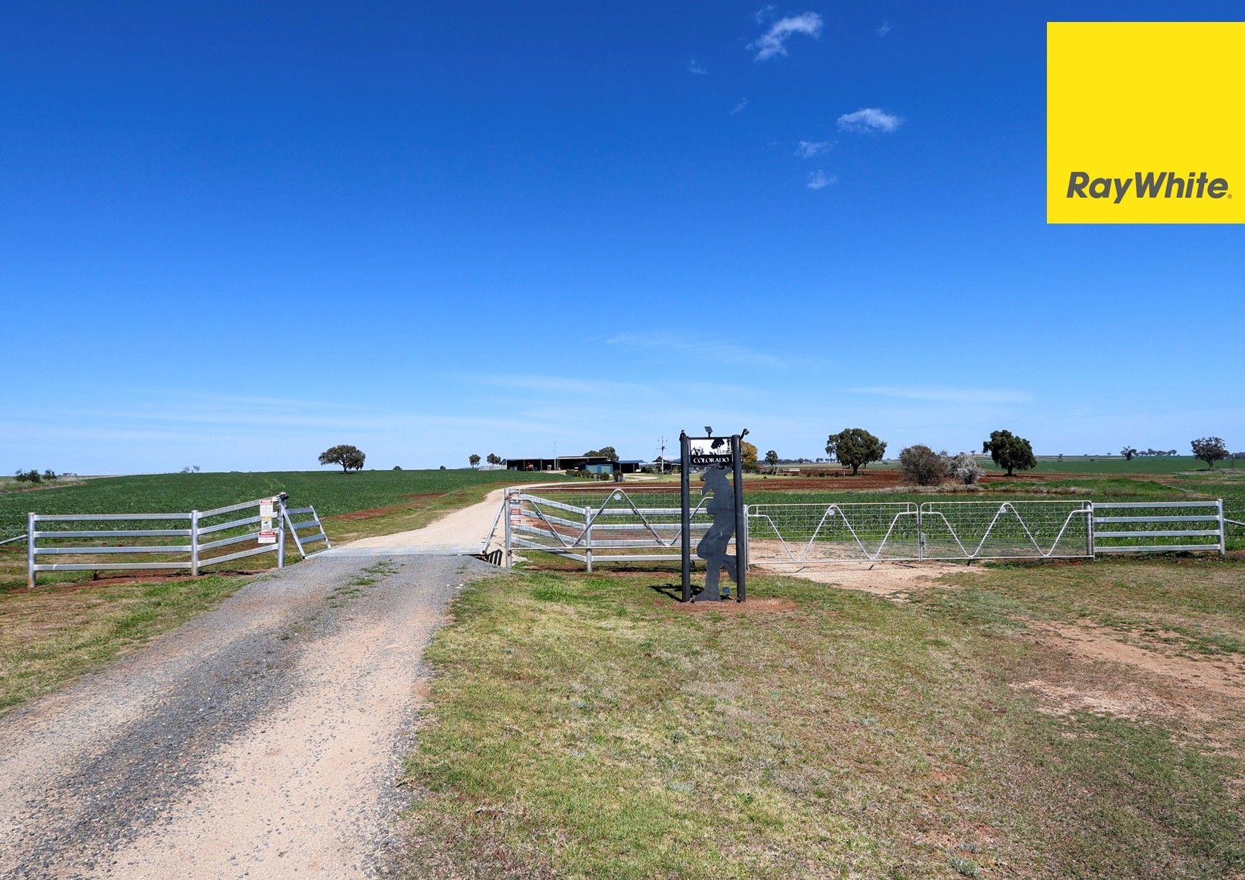 Cropping for Sale: Inverell, NSW 2360, NSW, 2360