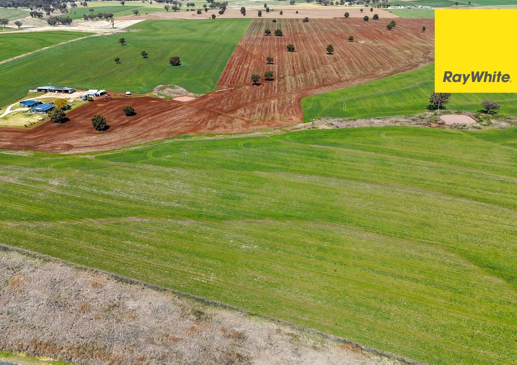 Cropping for Sale: Inverell, NSW 2360, NSW, 2360
