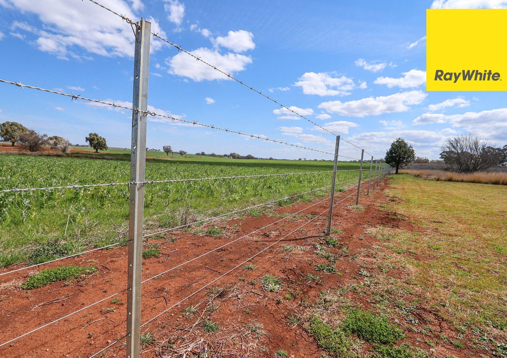 Cropping for Sale: Inverell, NSW 2360, NSW, 2360