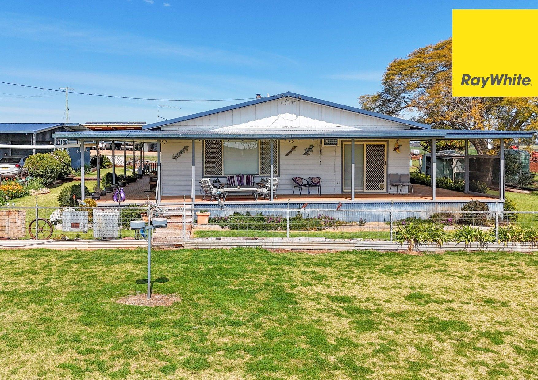 Cropping for Sale: Inverell, NSW 2360, NSW, 2360