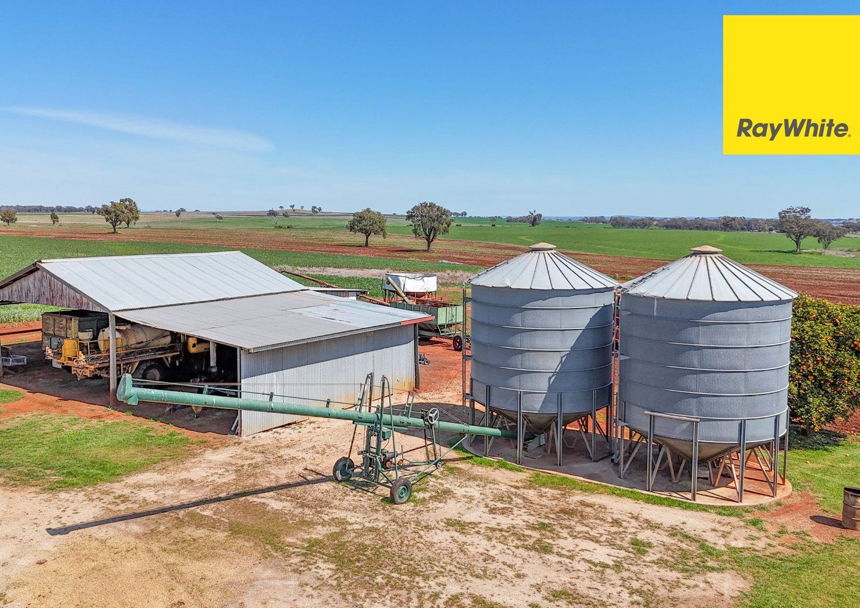 Cropping for Sale: Inverell, NSW 2360, NSW, 2360