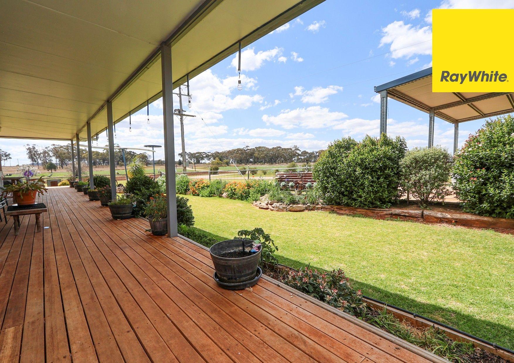 Cropping for Sale: Inverell, NSW 2360, NSW, 2360