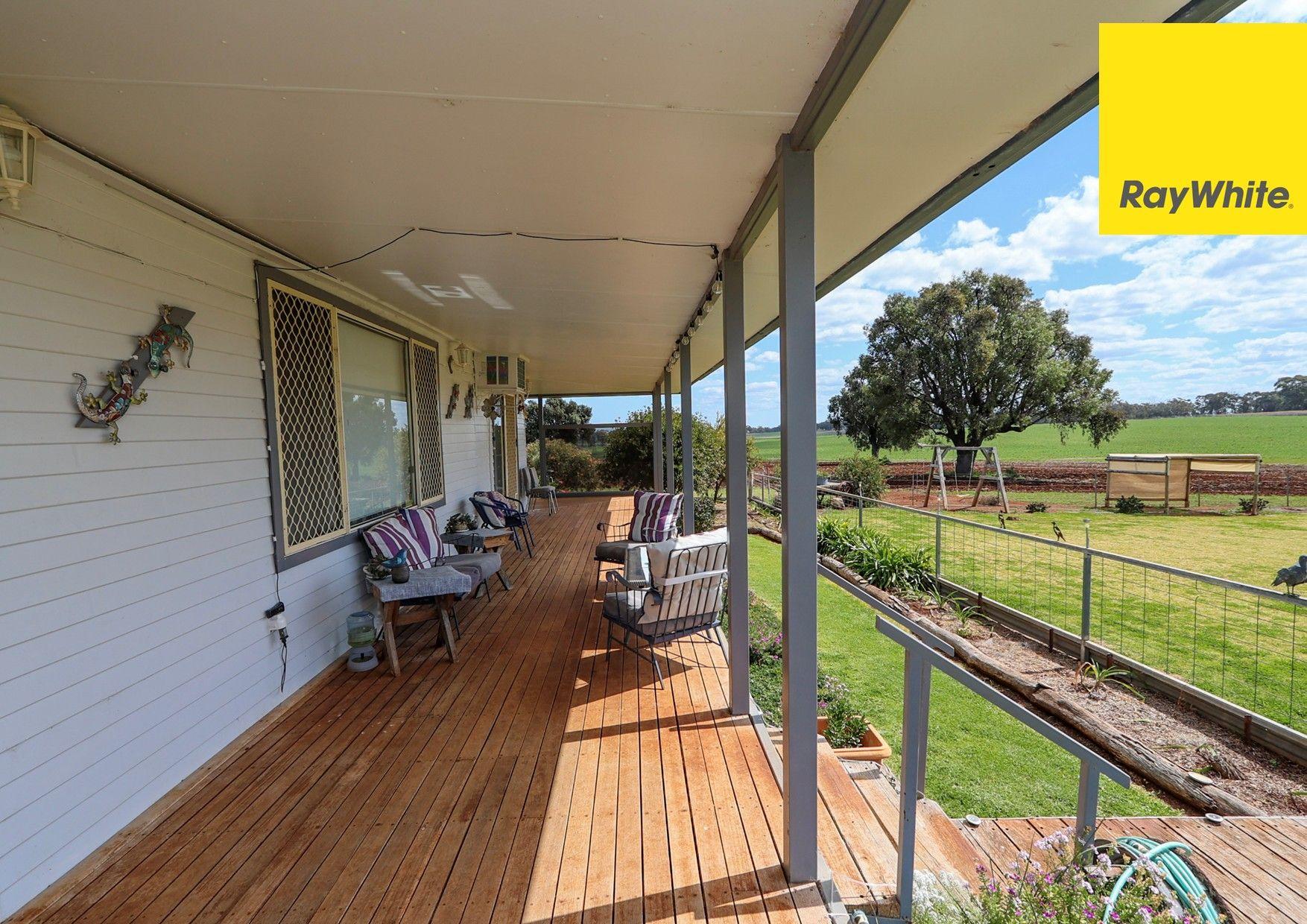 Cropping for Sale: Inverell, NSW 2360, NSW, 2360