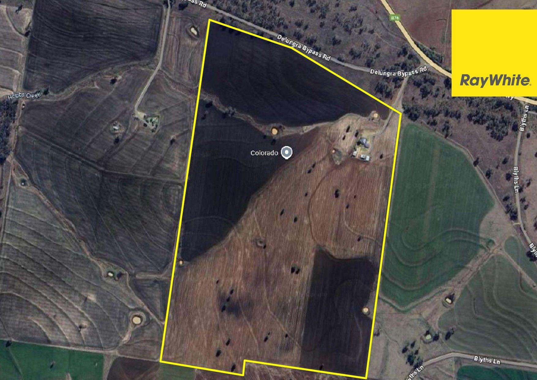Cropping for Sale: Inverell, NSW 2360, NSW, 2360