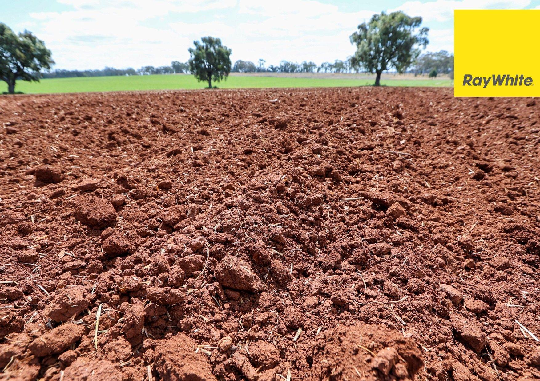 Cropping for Sale: Inverell, NSW 2360, NSW, 2360