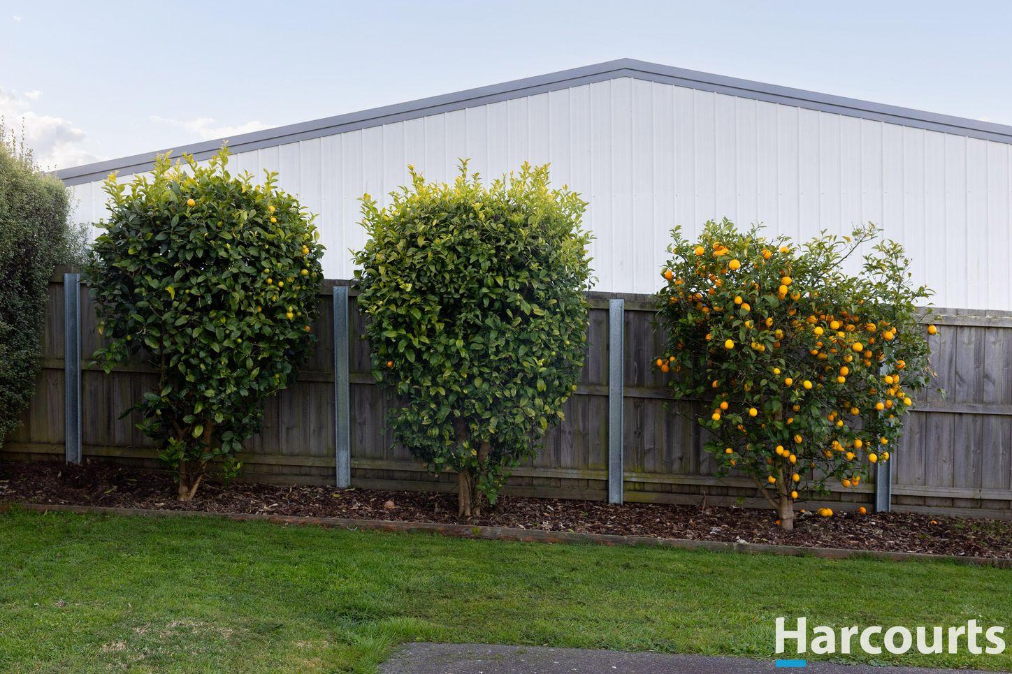 House for Sale: Forth, TAS 7310, TAS, 7310