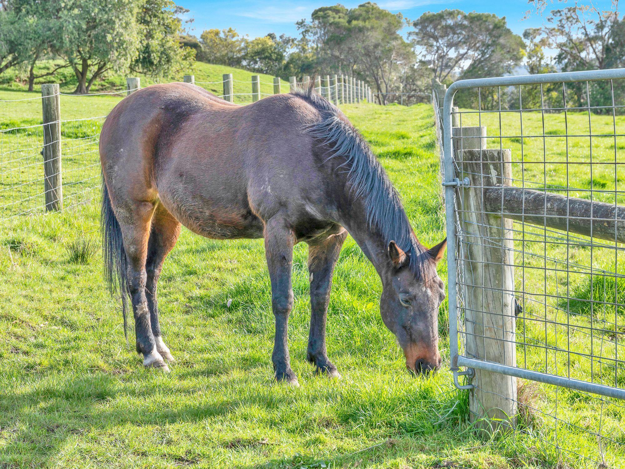 Lifestyle for Sale: Nar Nar Goon, VIC 3812, VIC, 3812