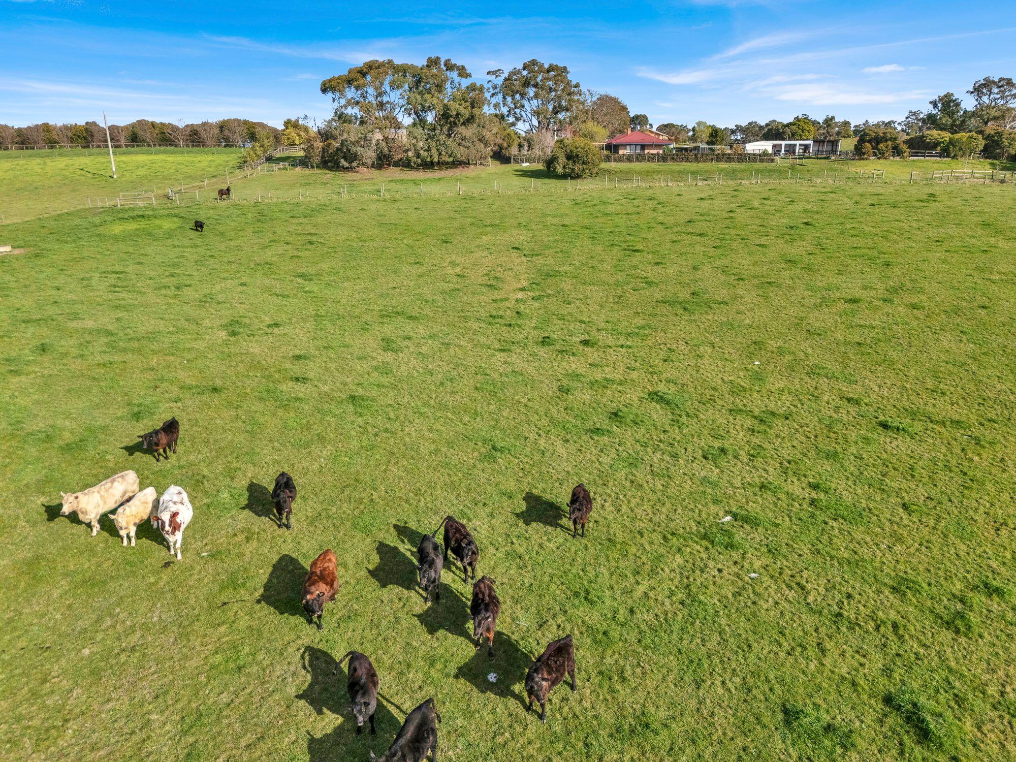 Lifestyle for Sale: Nar Nar Goon, VIC 3812, VIC, 3812
