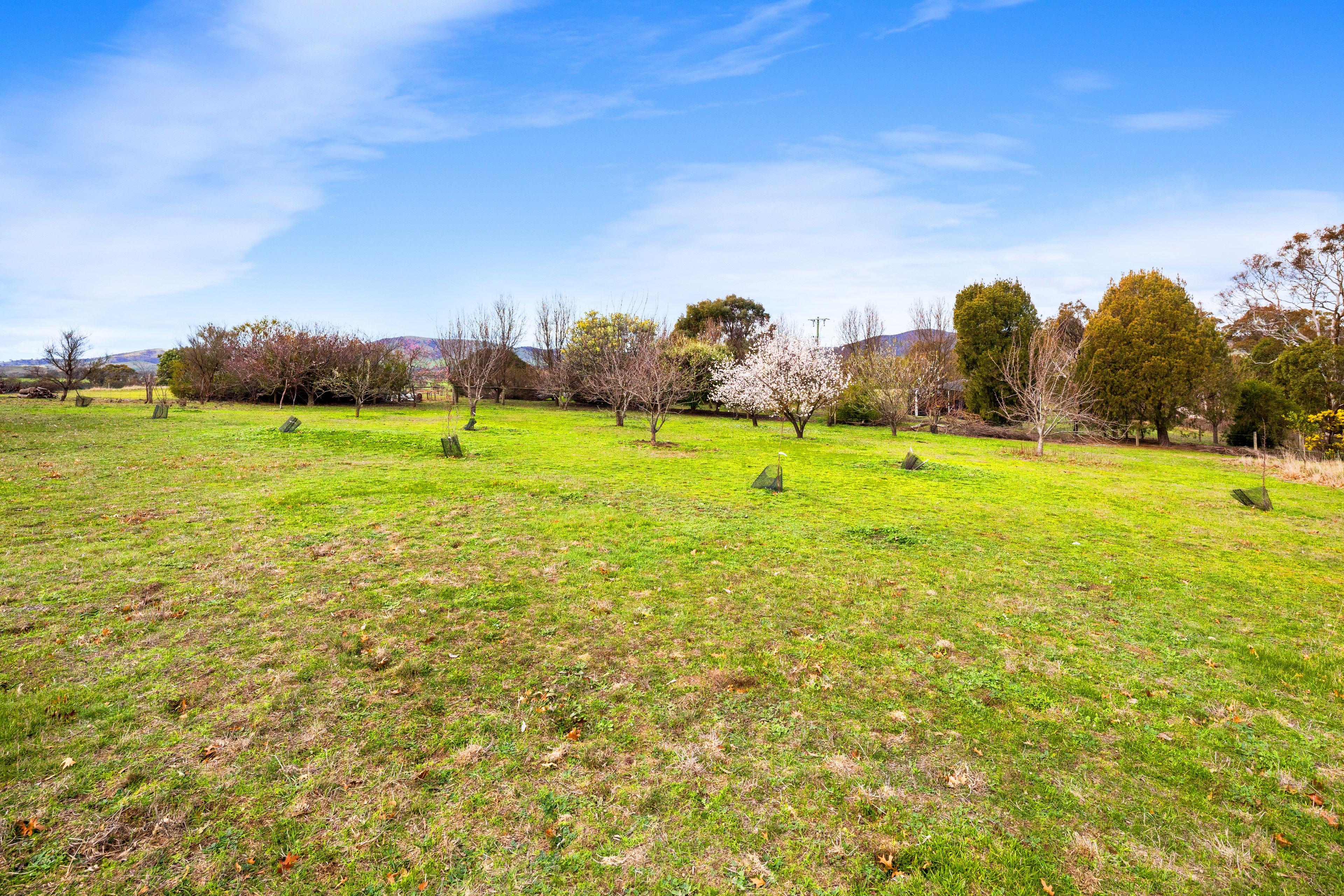 Land for Sale: Mount Lonarch, VIC 3468, VIC, 3468