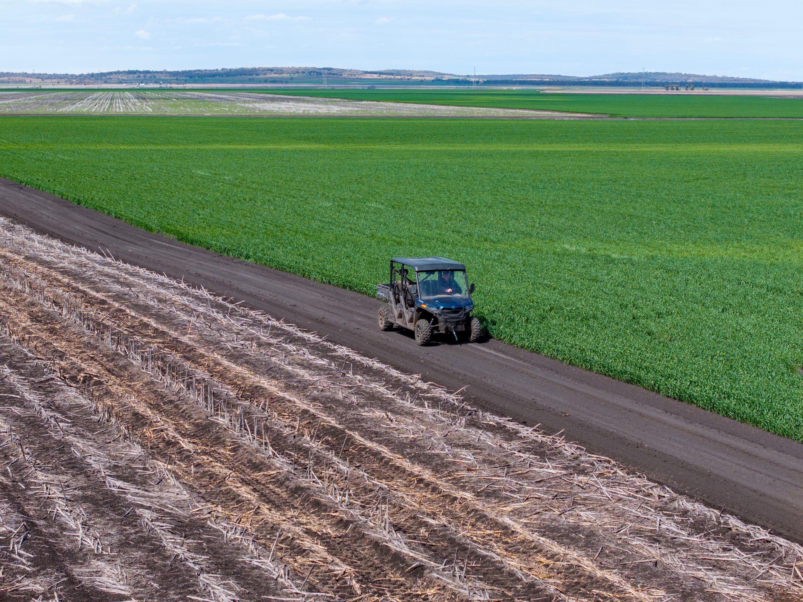 Cropping for Sale: Pittsworth, QLD 4356, QLD, 4356
