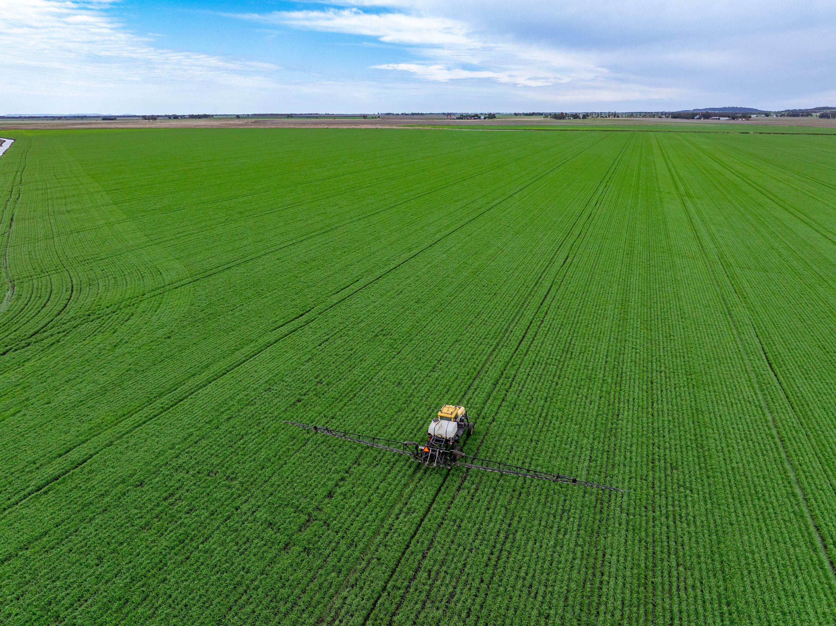 Cropping for Sale: Pittsworth, QLD 4356, QLD, 4356