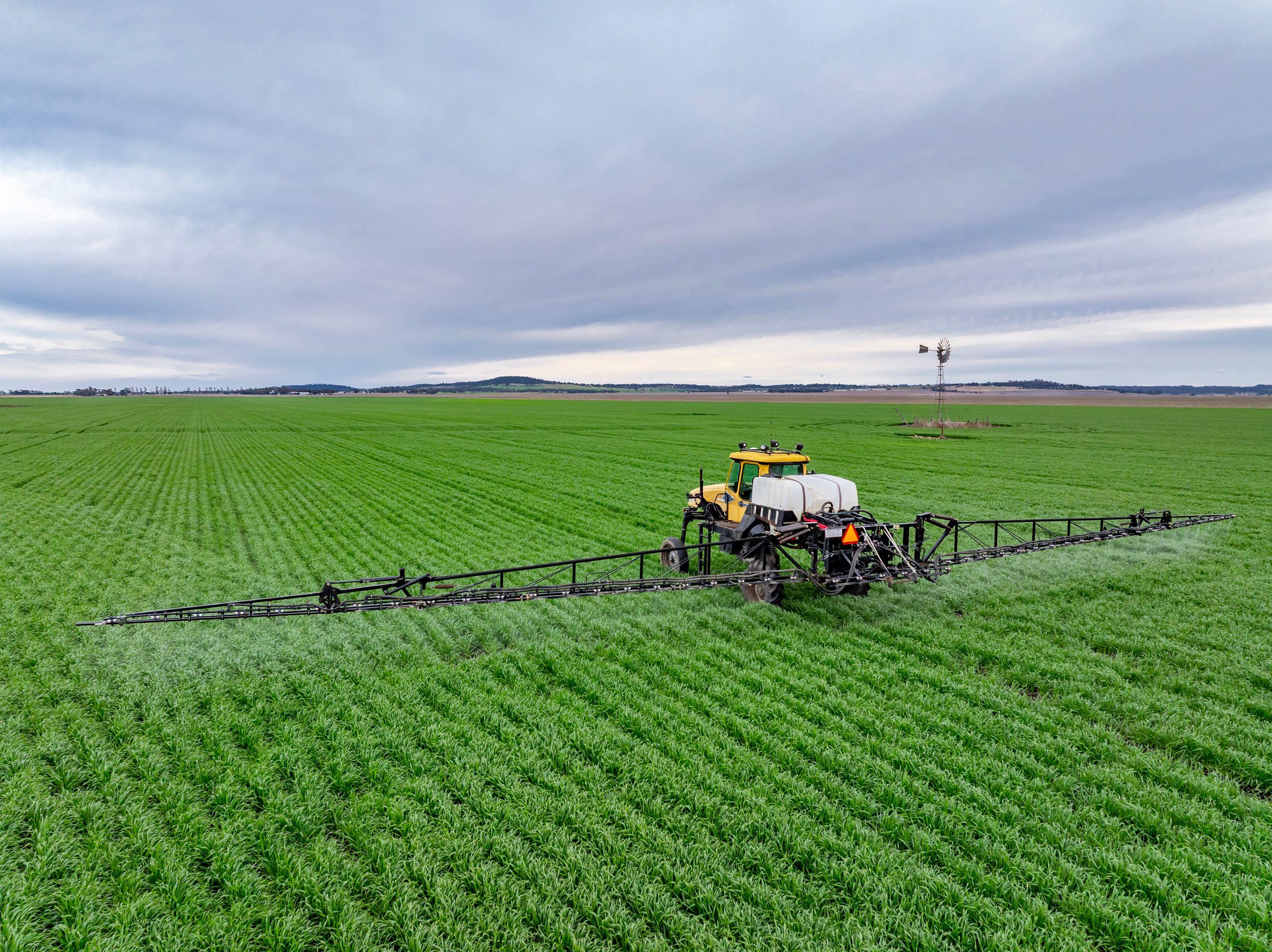 Cropping for Sale: Pittsworth, QLD 4356, QLD, 4356