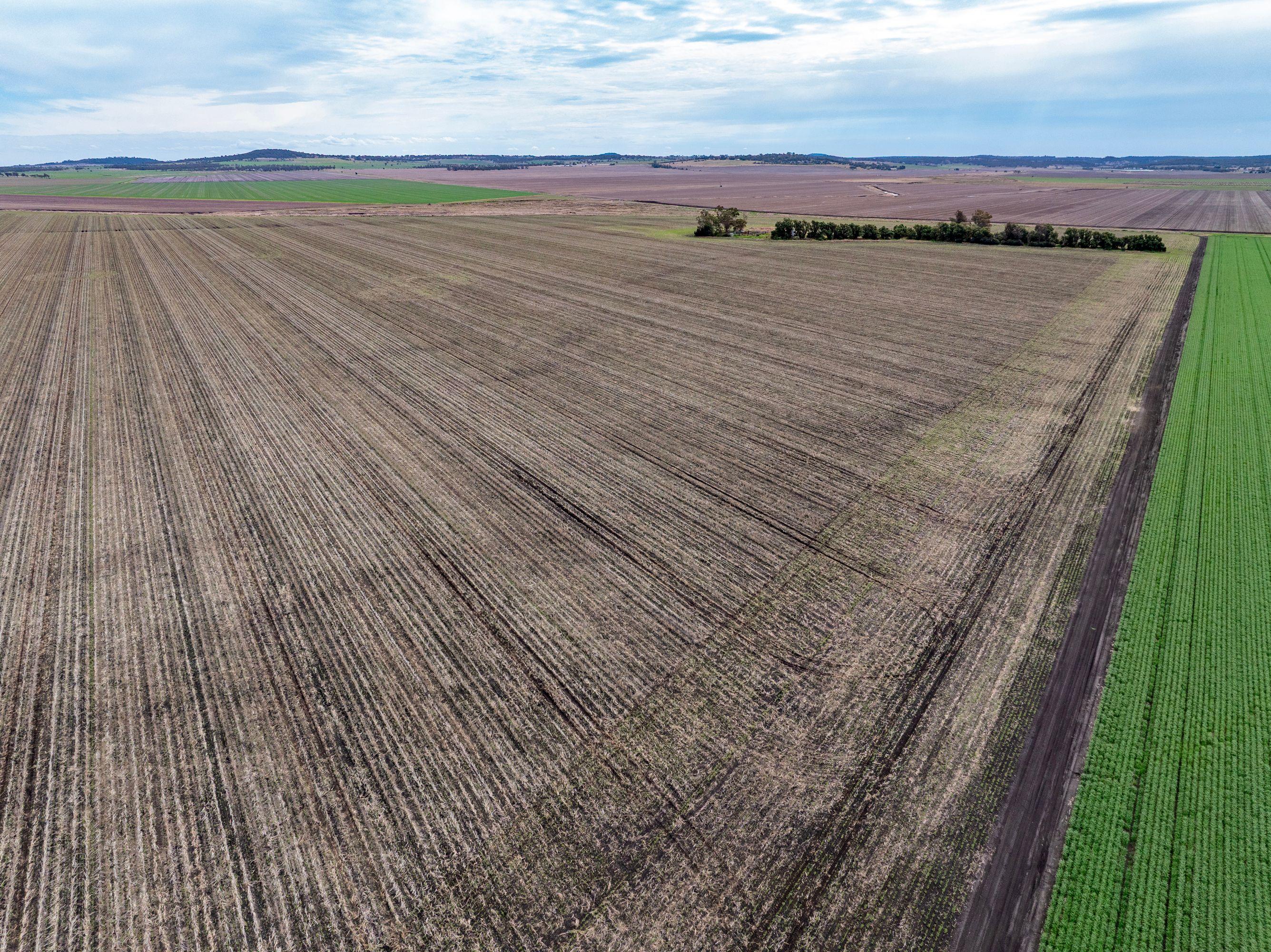 Cropping for Sale: Pittsworth, QLD 4356, QLD, 4356
