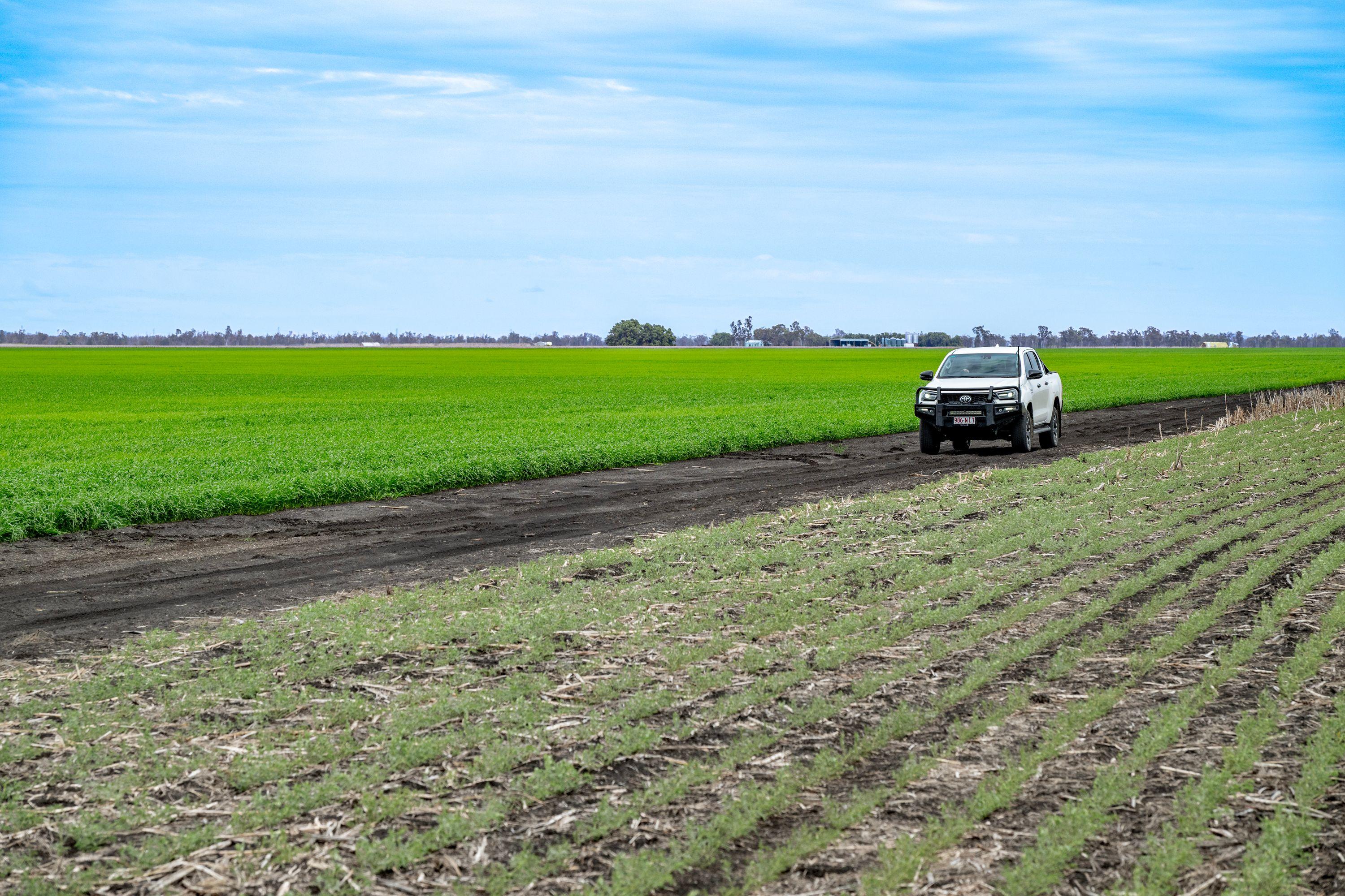 Cropping for Sale: Pittsworth, QLD 4356, QLD, 4356