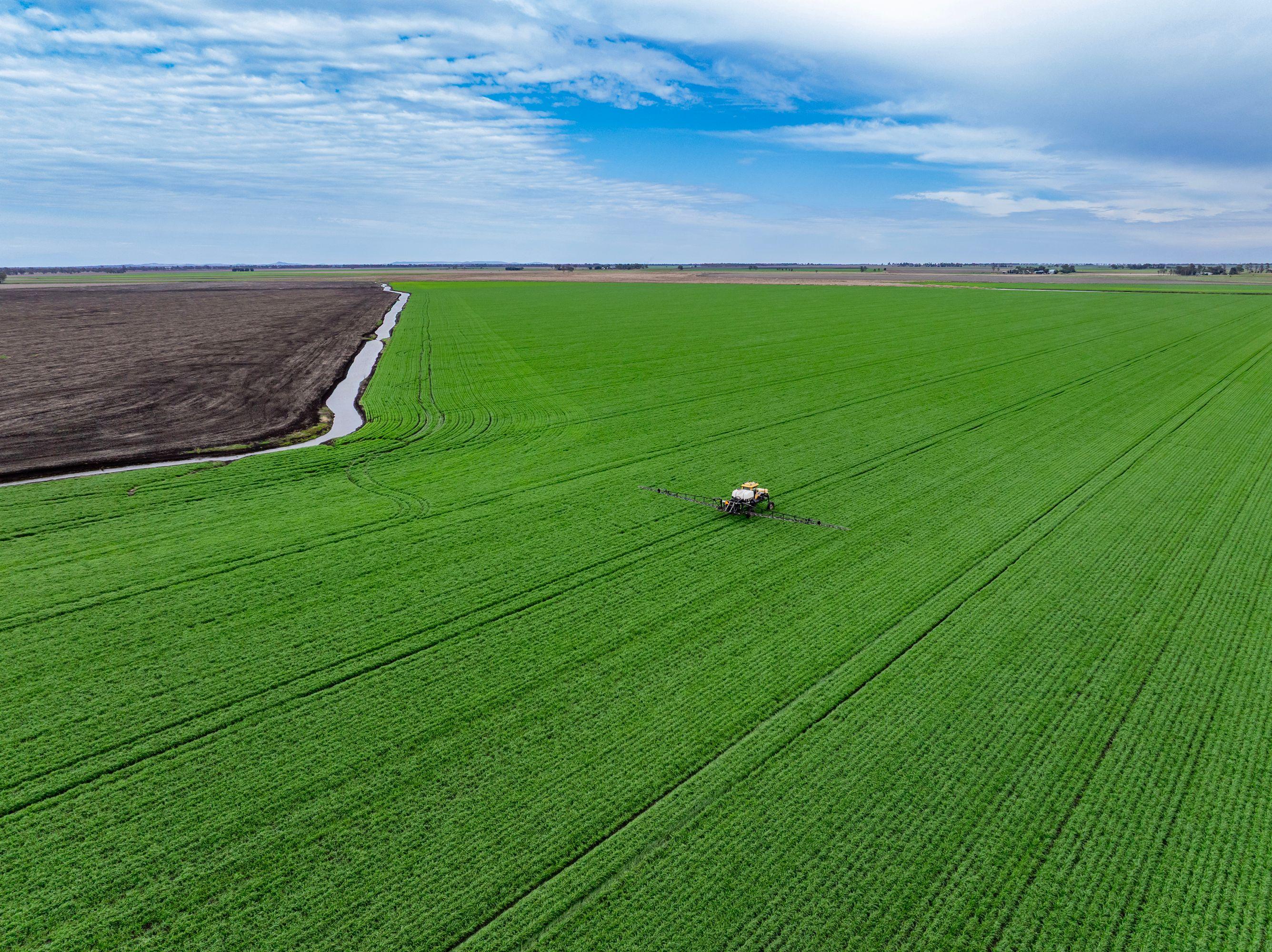 Cropping for Sale: Pittsworth, QLD 4356, QLD, 4356