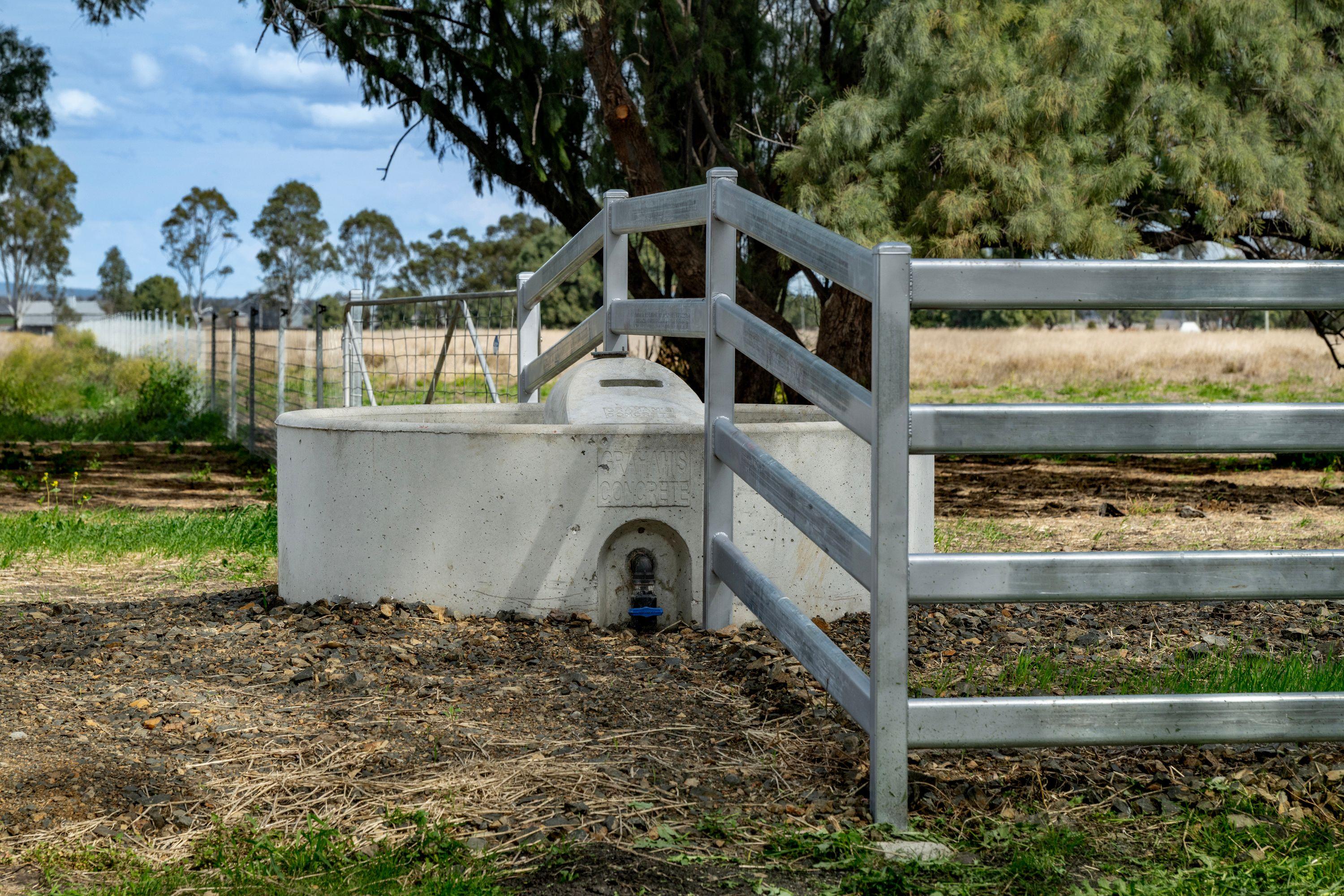 Cropping for Sale: Pittsworth, QLD 4356, QLD, 4356