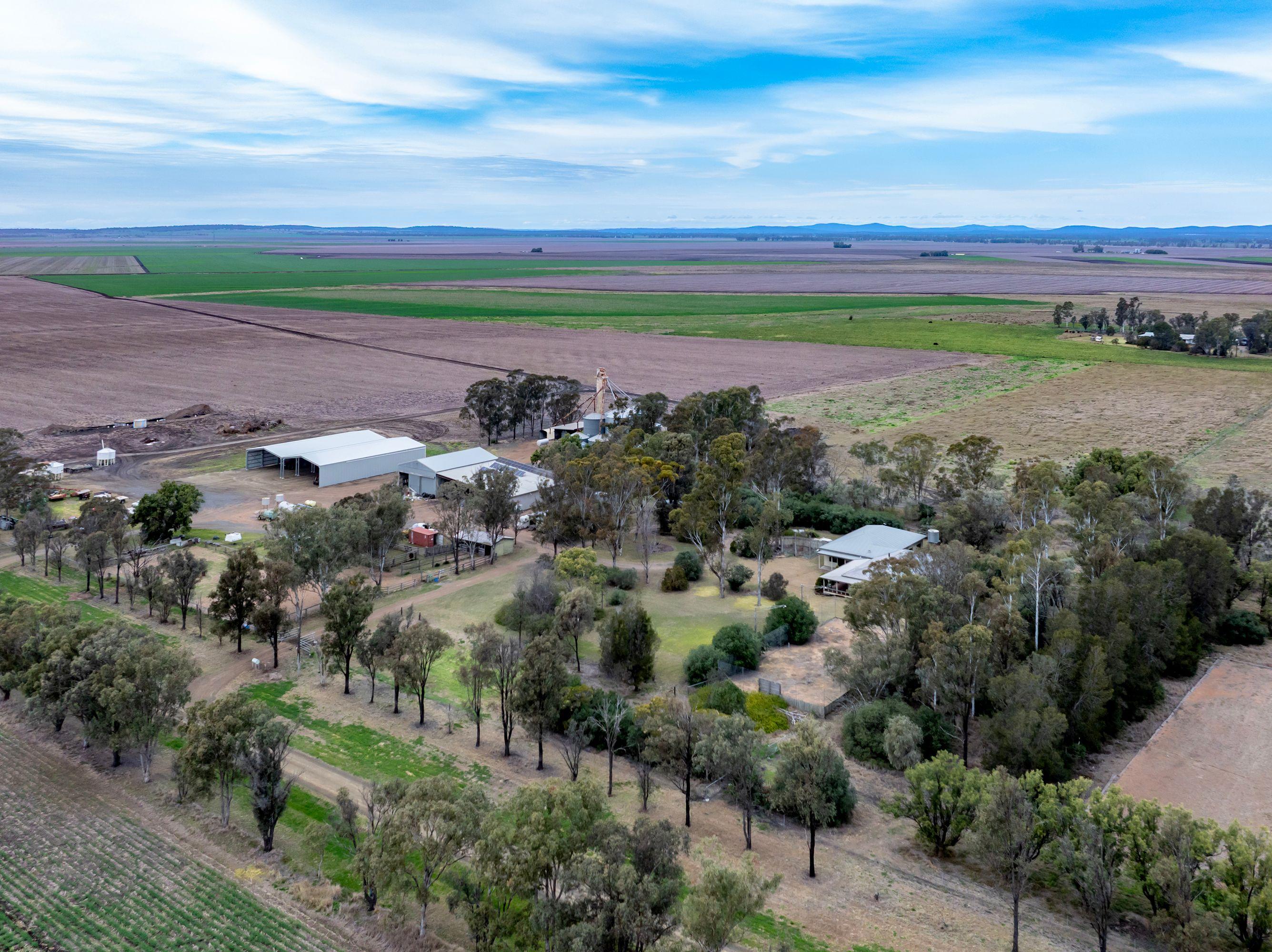 Cropping for Sale: Pittsworth, QLD 4356, QLD, 4356