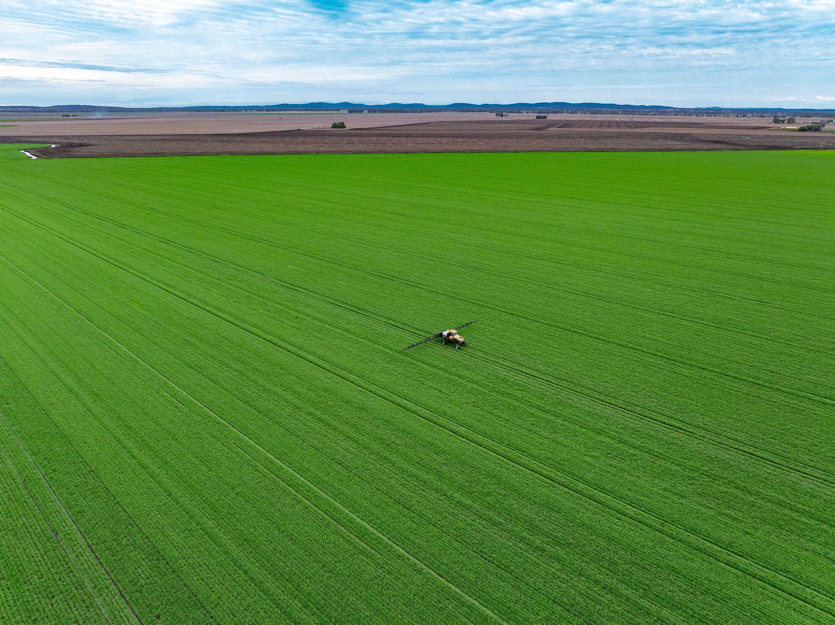 Cropping for Sale: Pittsworth, QLD 4356, QLD, 4356