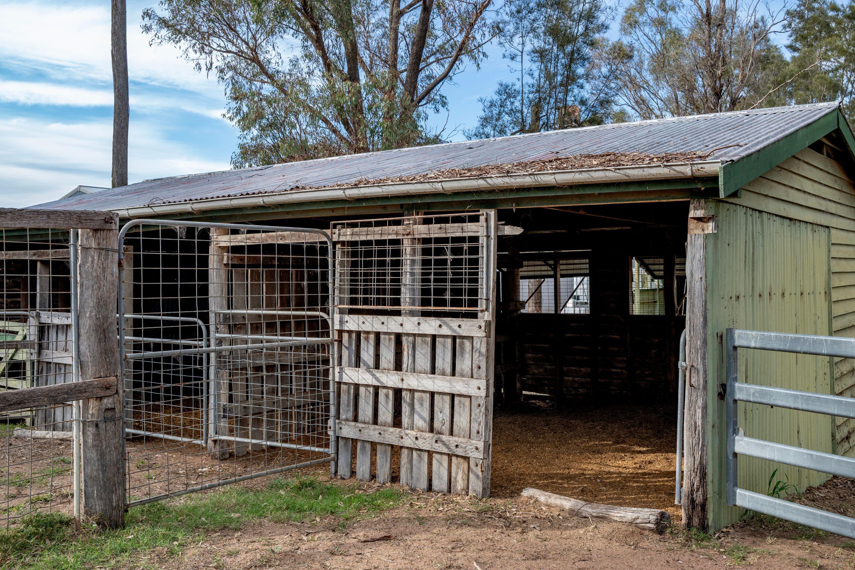 Cropping for Sale: Pittsworth, QLD 4356, QLD, 4356