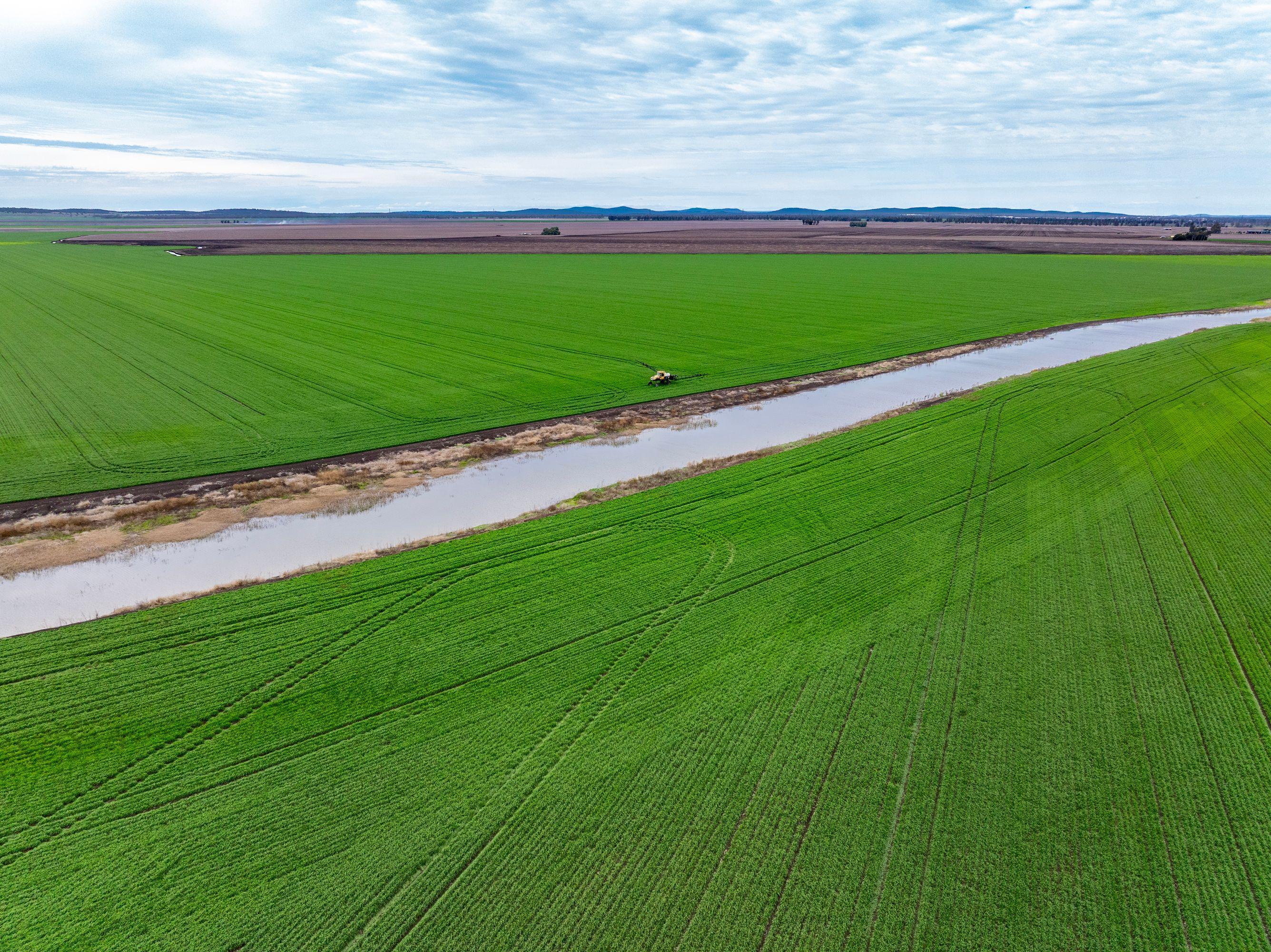 Cropping for Sale: Pittsworth, QLD 4356, QLD, 4356