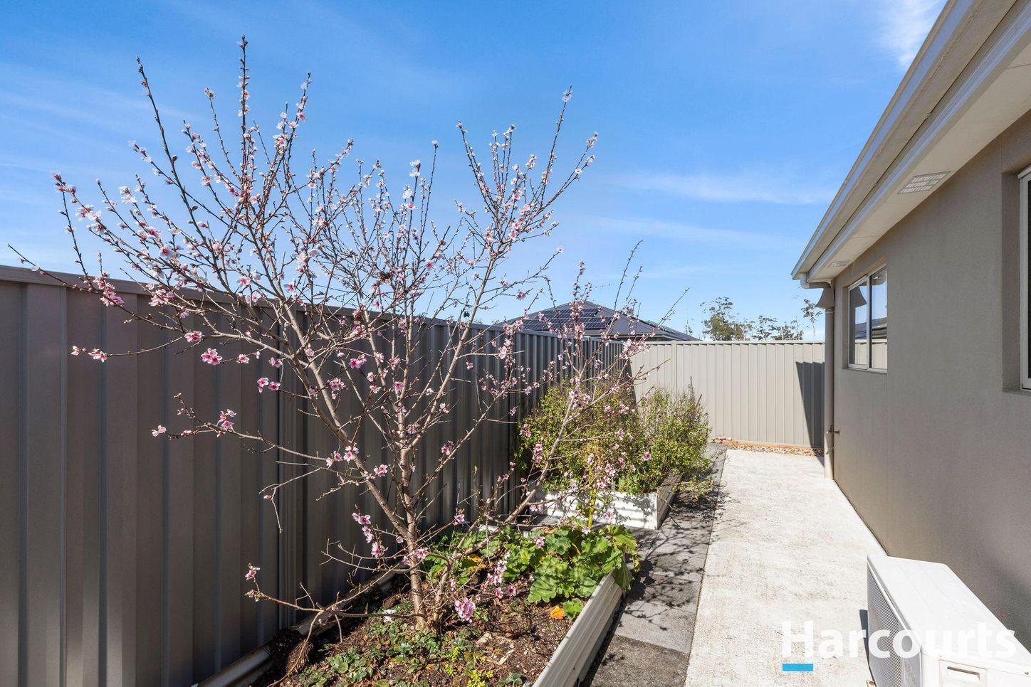 Property for Sale: Latrobe, TAS 7307, TAS, 7307
