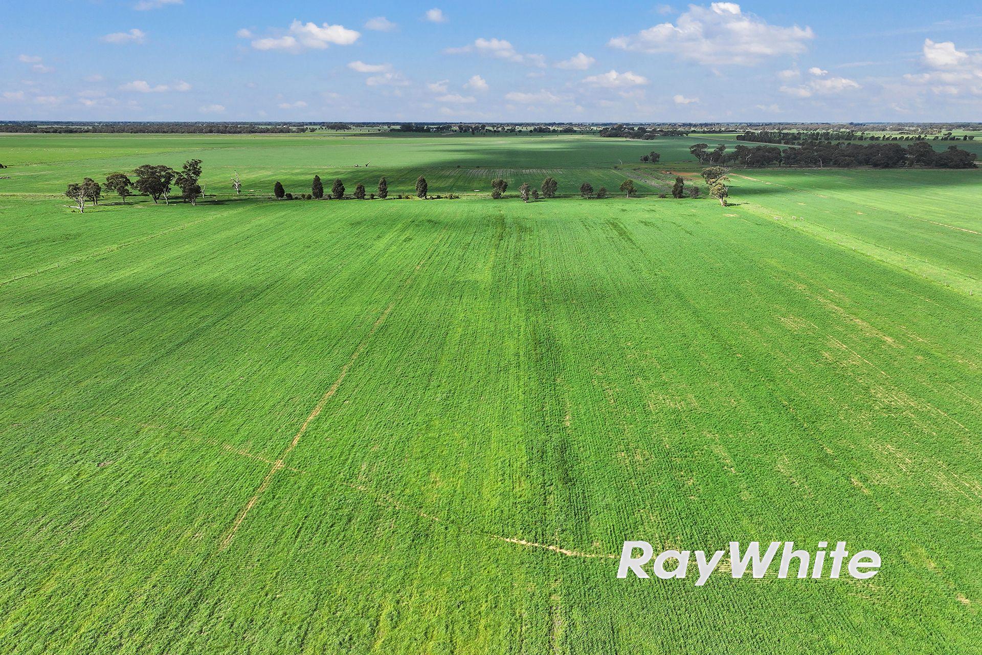 Cropping for Sale: Kotta, VIC 3565, VIC, 3565