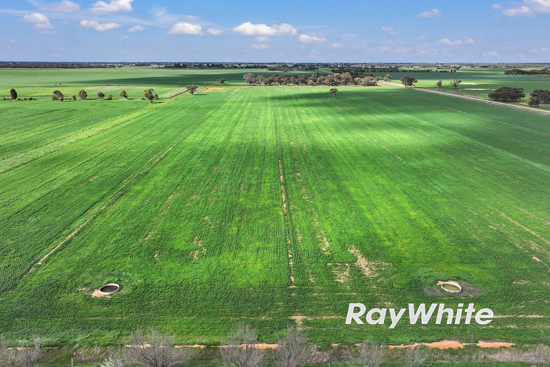 Cropping for Sale: Kotta, VIC 3565, VIC, 3565