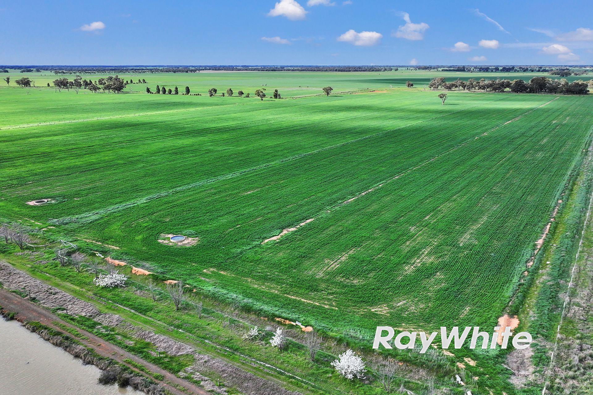 Cropping for Sale: Kotta, VIC 3565, VIC, 3565
