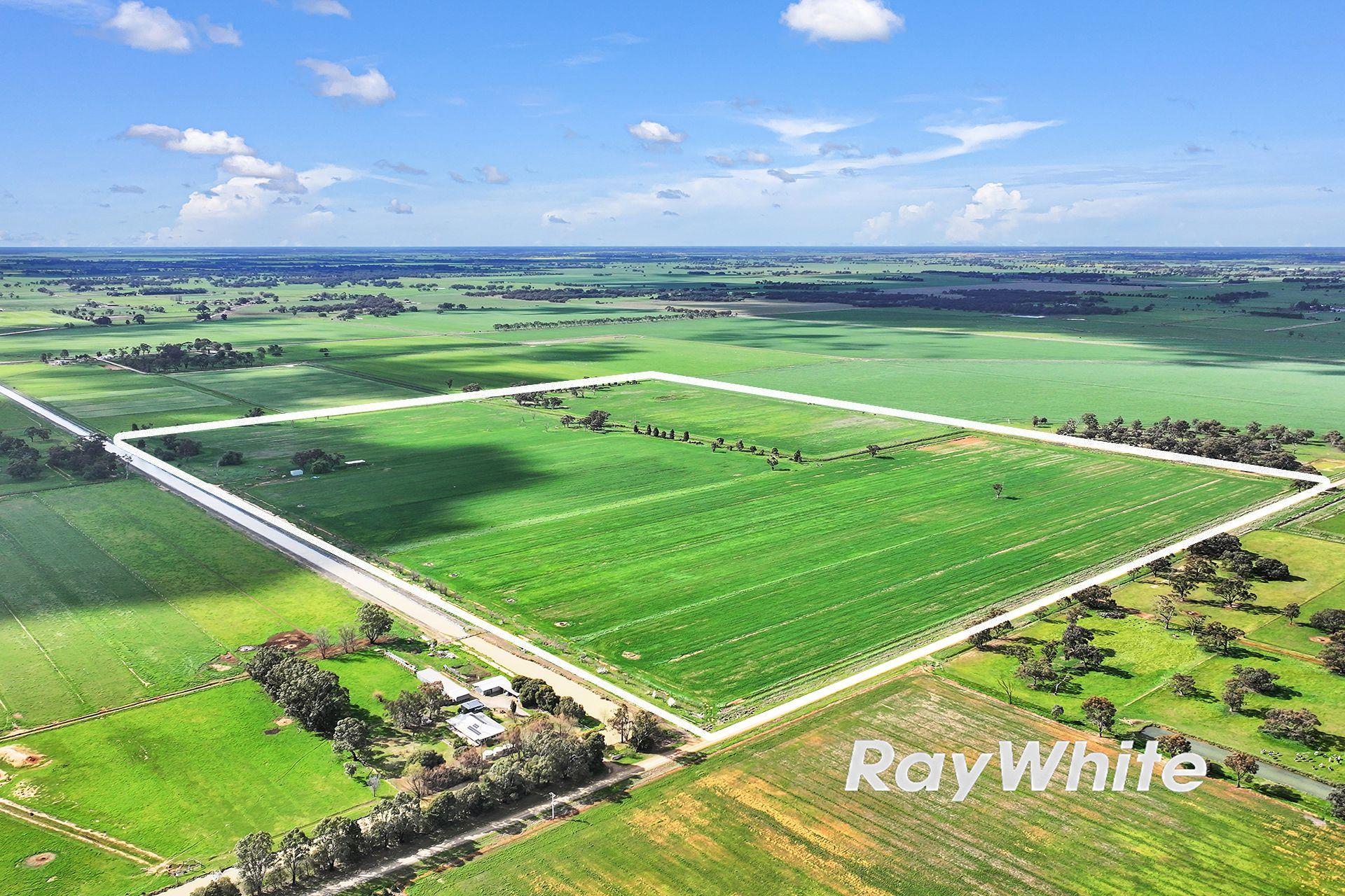 Cropping for Sale: Kotta, VIC 3565, VIC, 3565