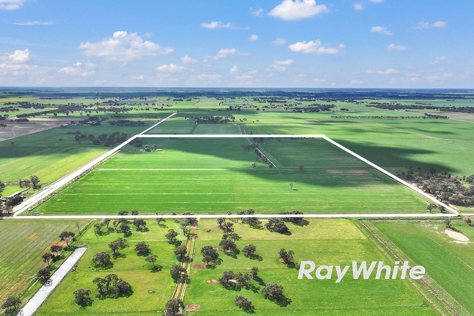 Cropping for Sale: Kotta, VIC 3565, VIC, 3565