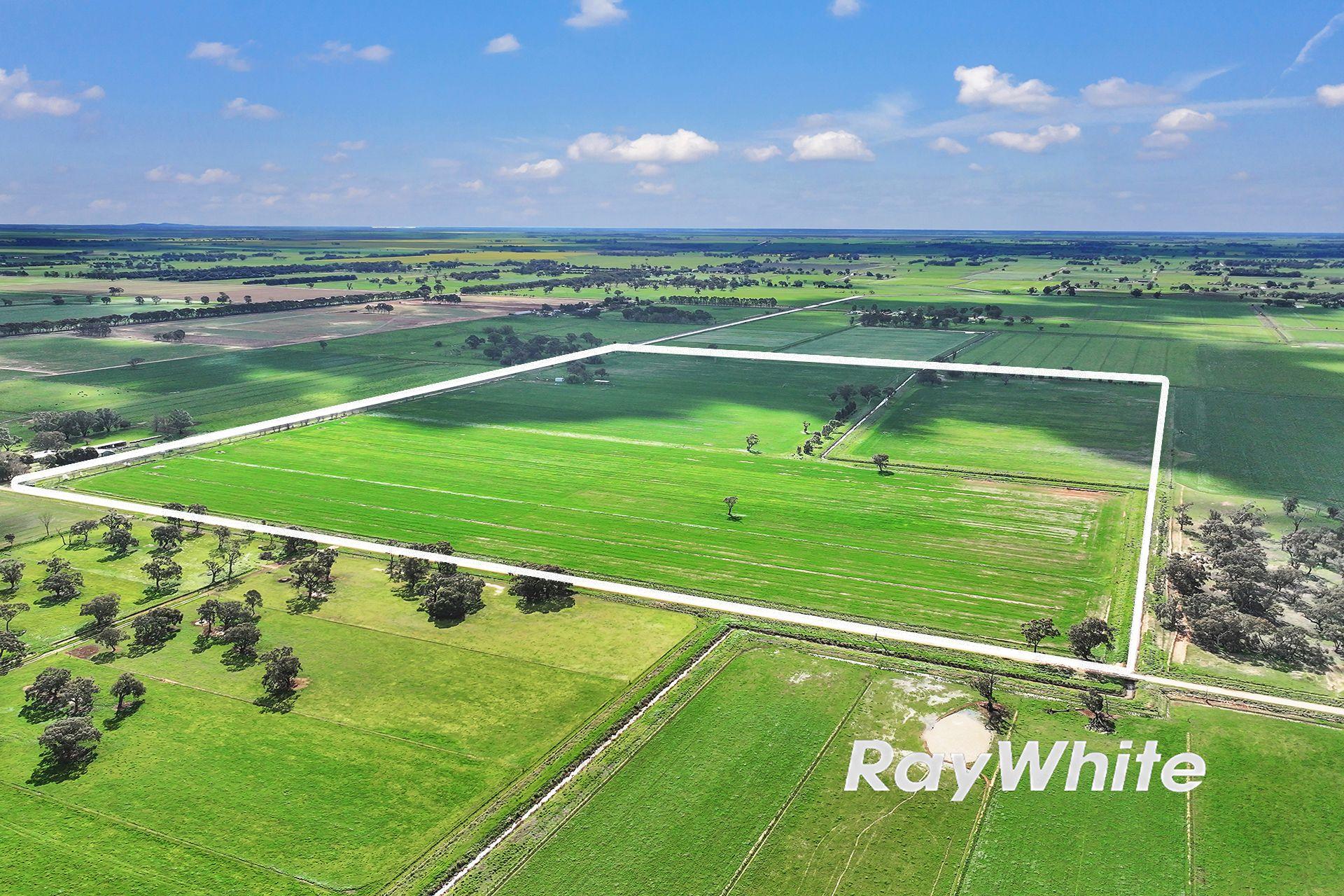 Cropping for Sale: Kotta, VIC 3565, VIC, 3565
