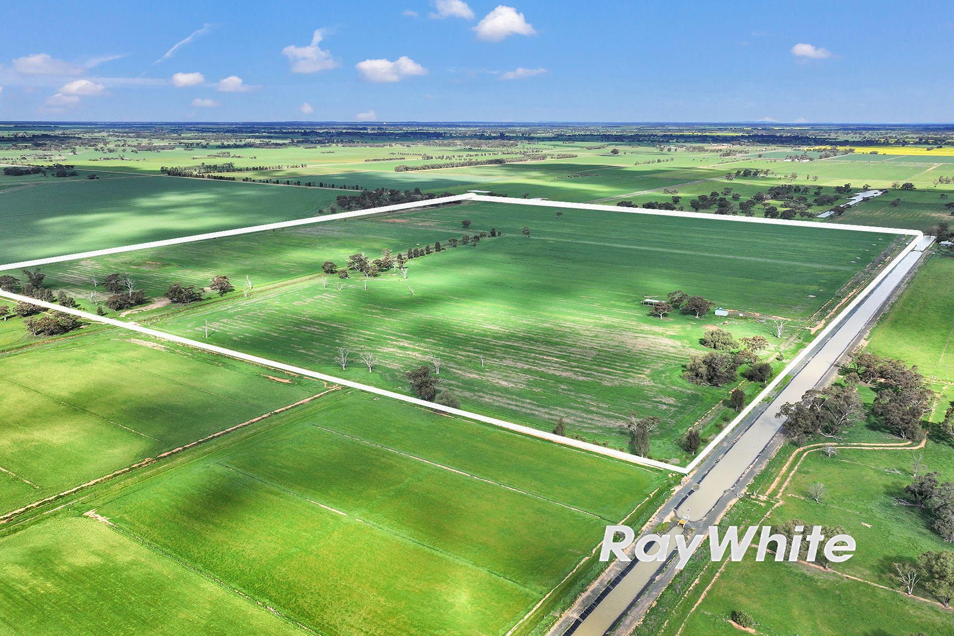 Cropping for Sale: Kotta, VIC 3565, VIC, 3565