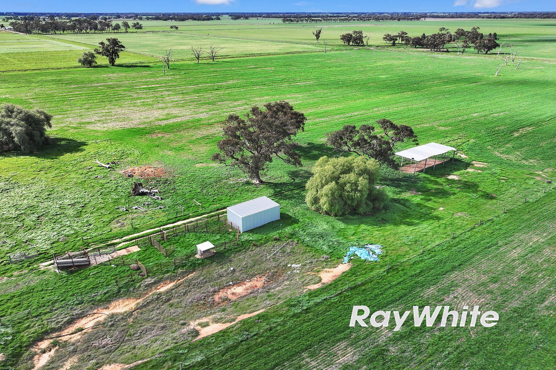 Cropping for Sale: Kotta, VIC 3565, VIC, 3565