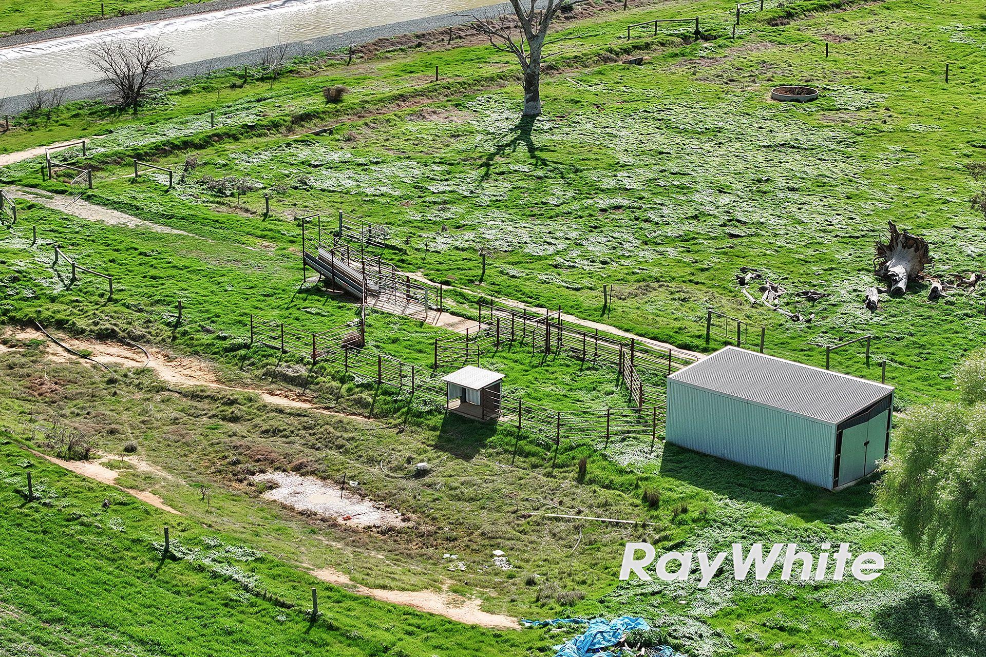 Cropping for Sale: Kotta, VIC 3565, VIC, 3565
