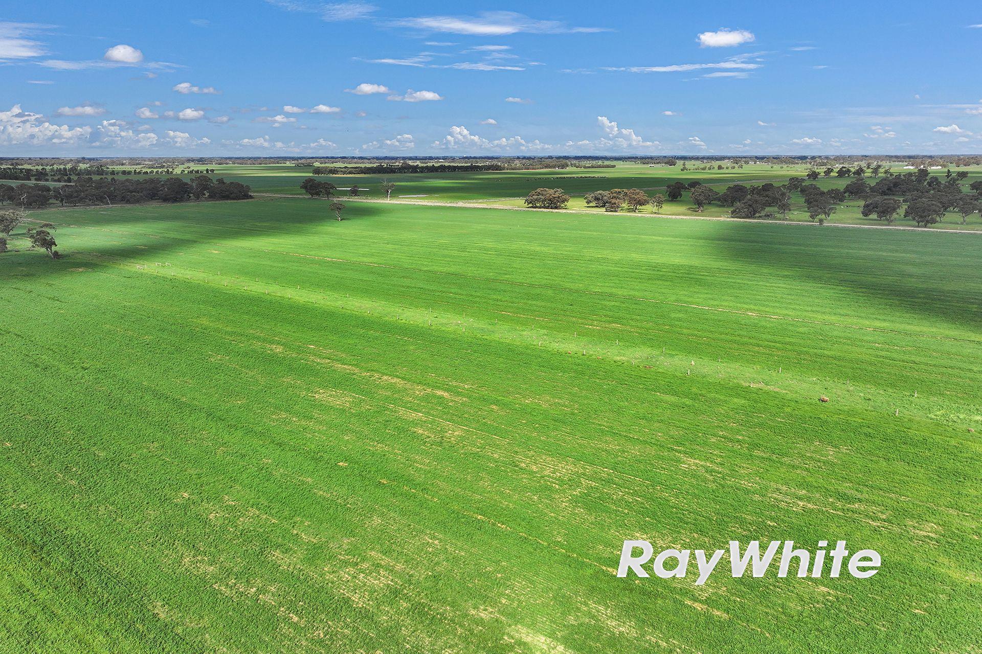 Cropping for Sale: Kotta, VIC 3565, VIC, 3565