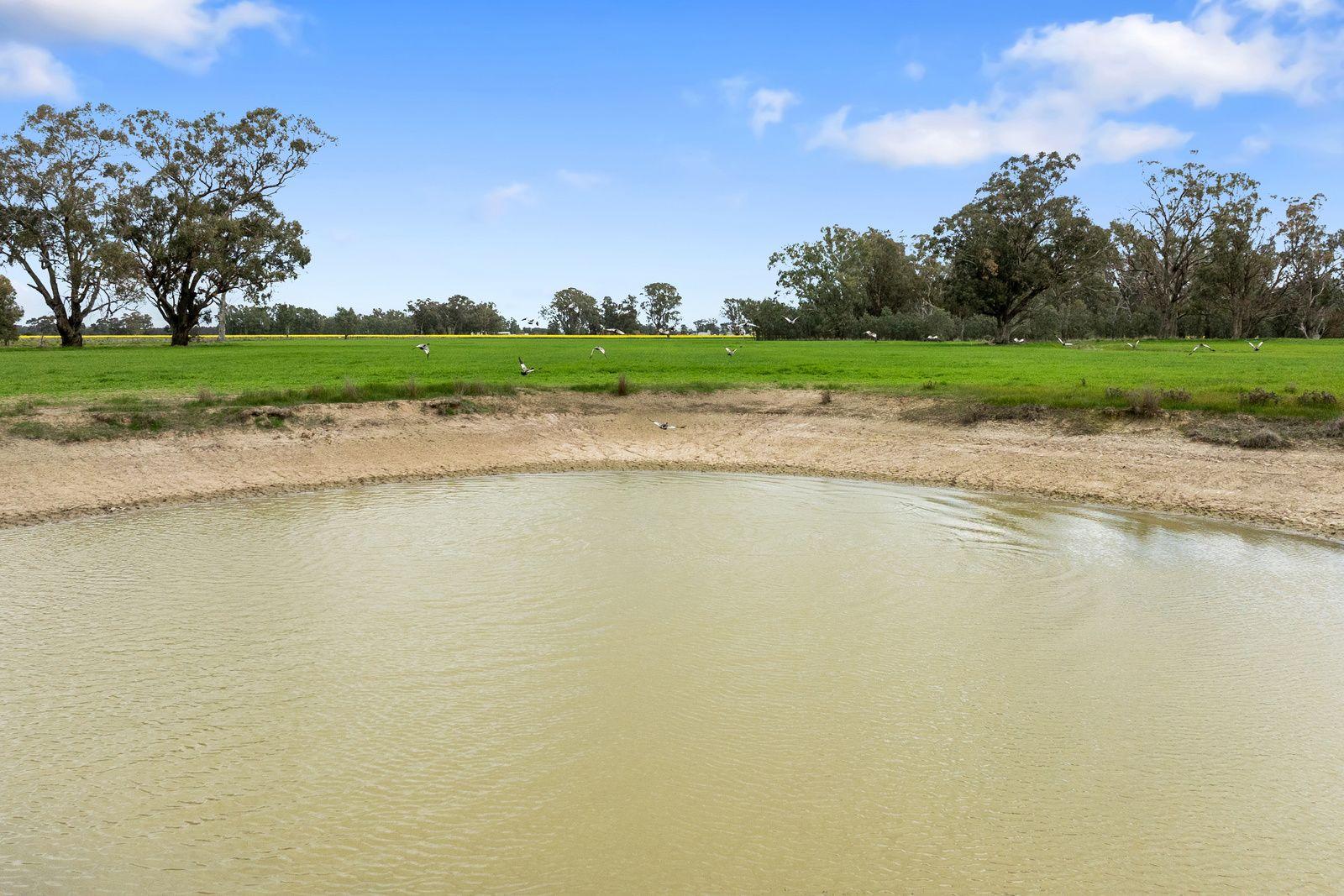 Lifestyle for Sale: Wahring, VIC 3608, VIC, 3608