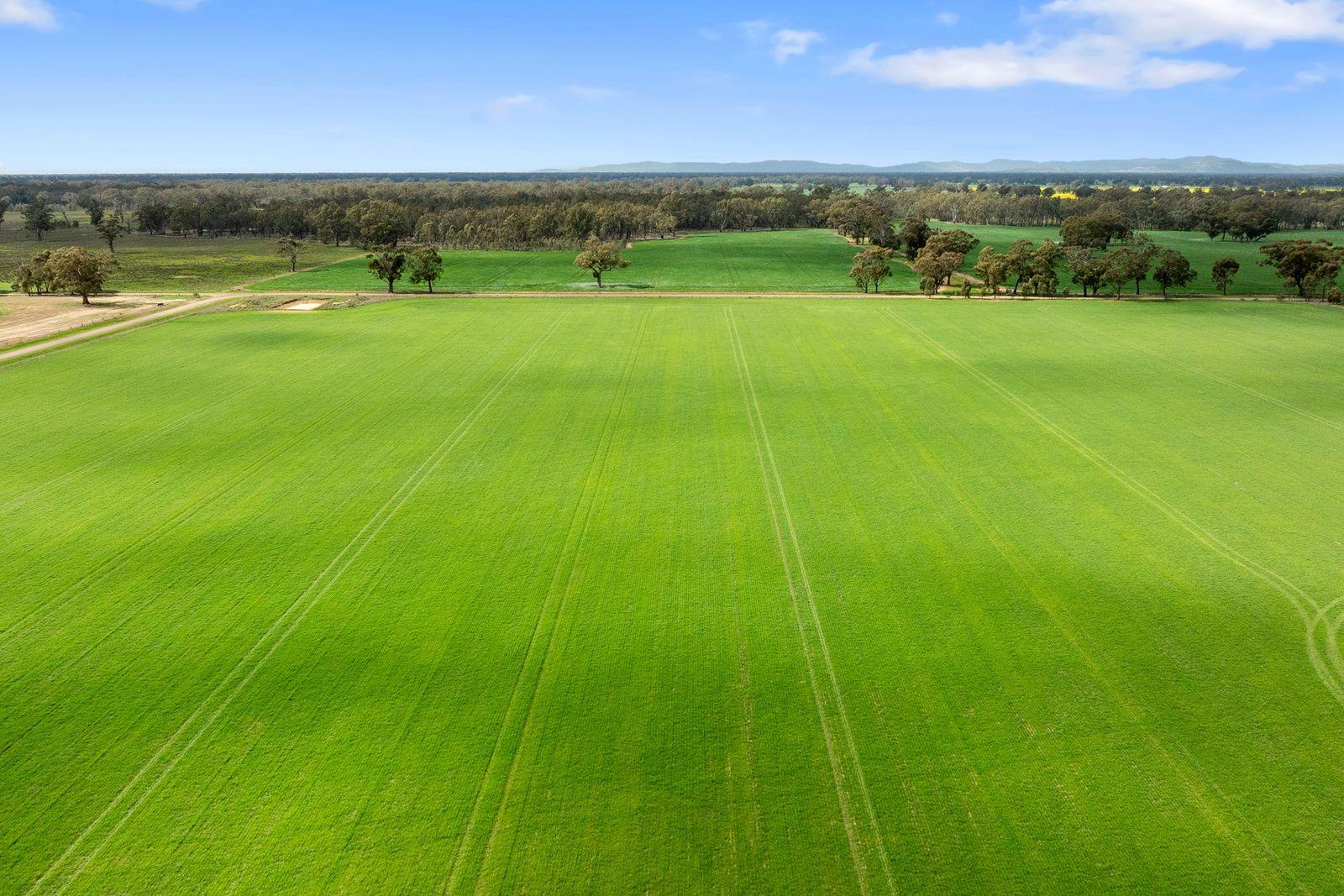 Lifestyle for Sale: Wahring, VIC 3608, VIC, 3608
