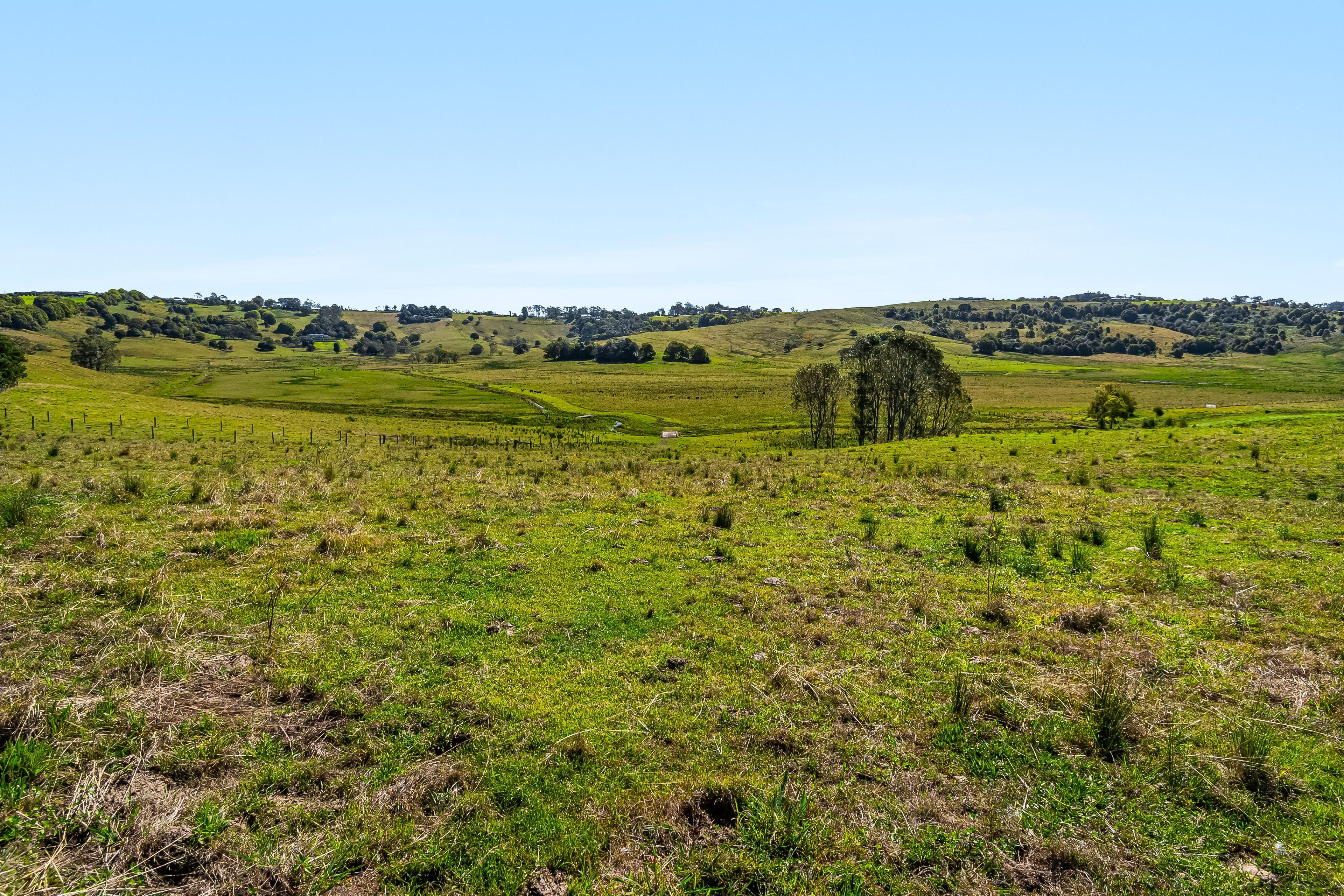 Lifestyle for Sale: Newrybar, NSW 2479, NSW, 2479